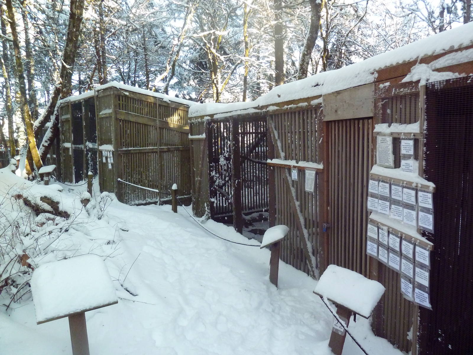 Assorted Bird Exhibits