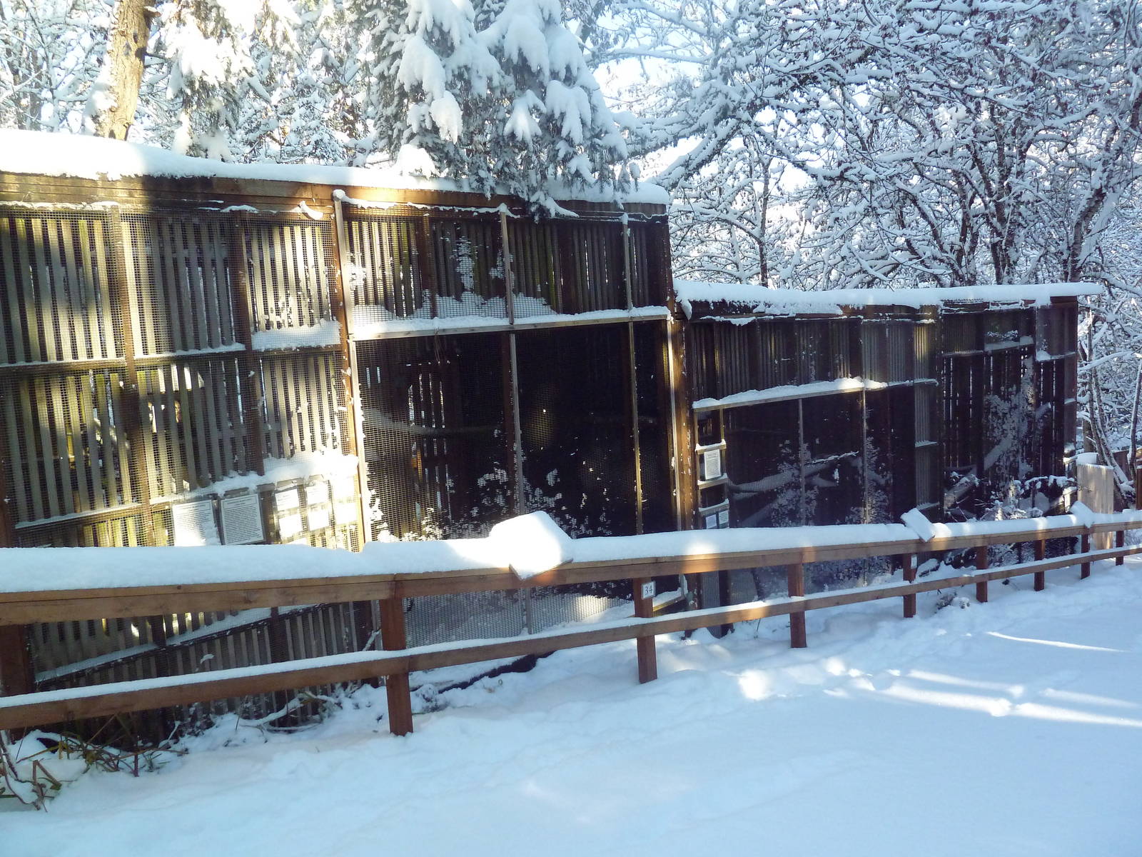 Assorted Bird Exhibits