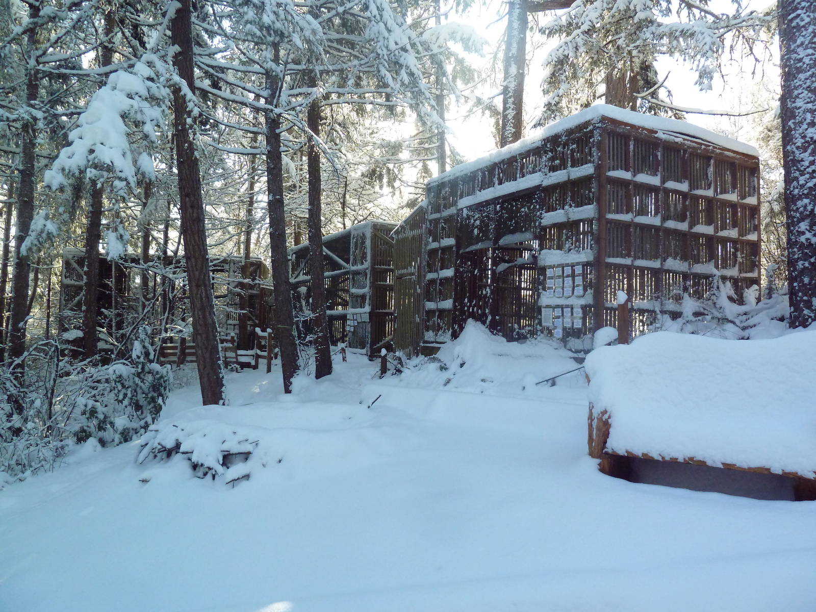 Assorted Bird Exhibits
