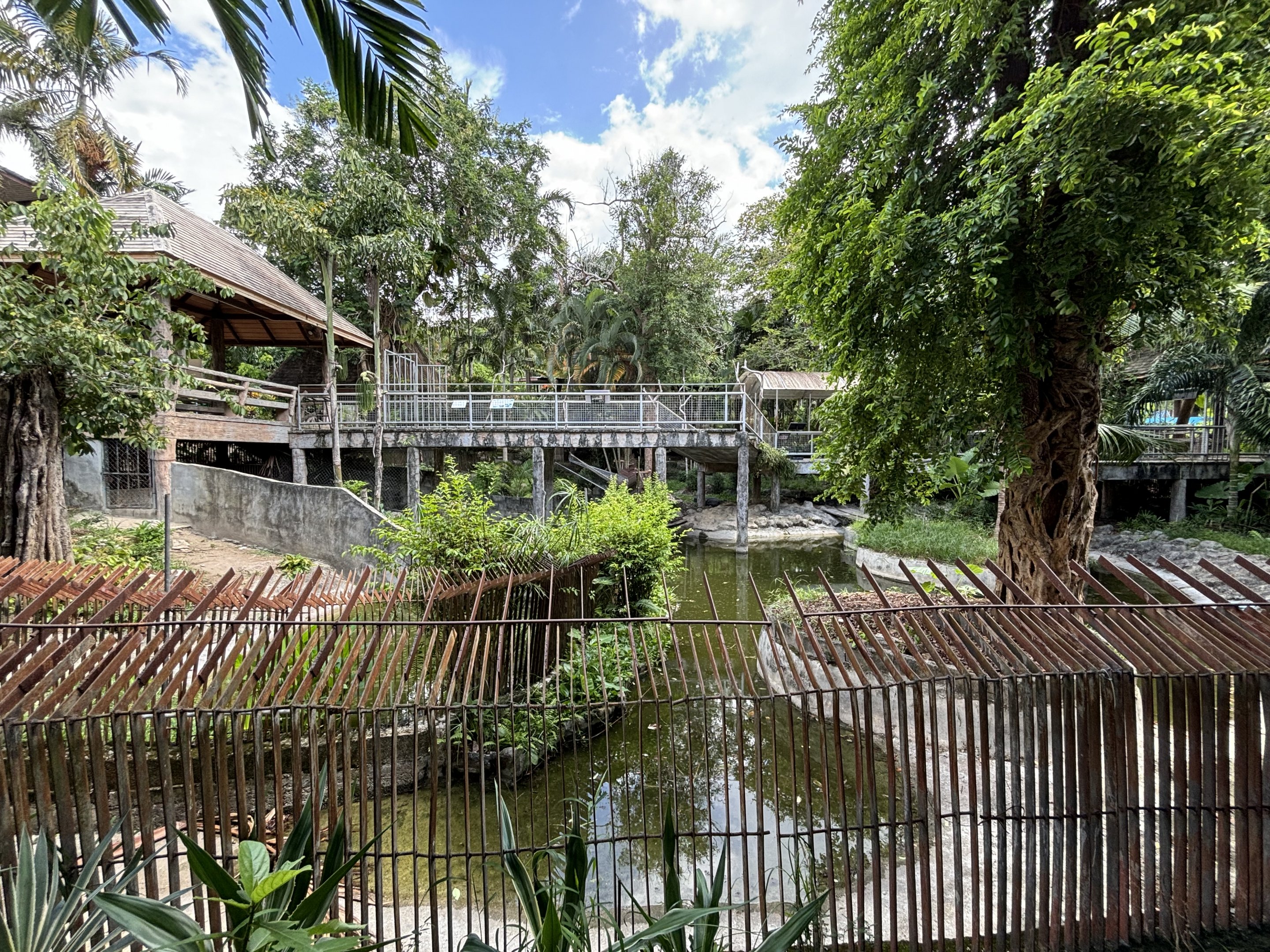 Assorted Crocodile Pools