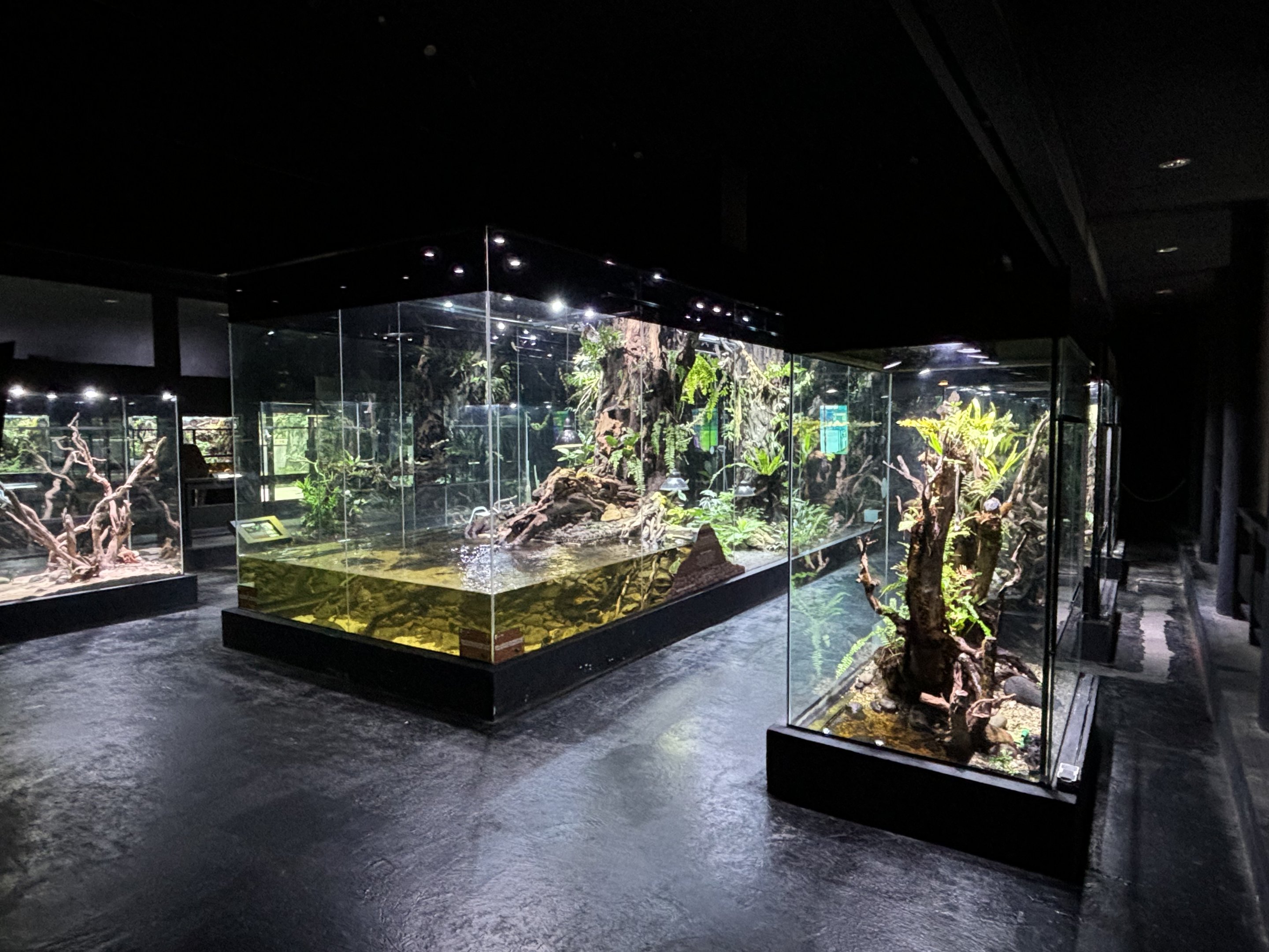 Assorted Exhibits - impressive!