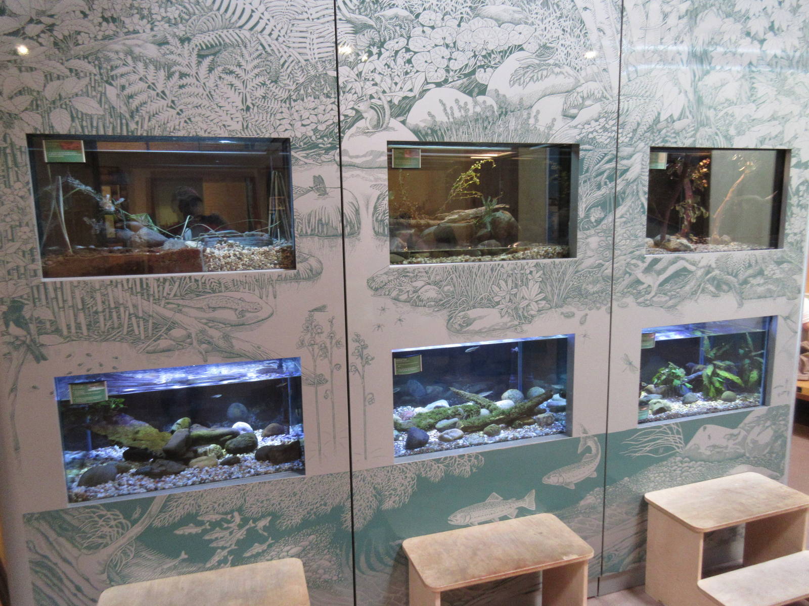 Assorted Freshwater Tanks