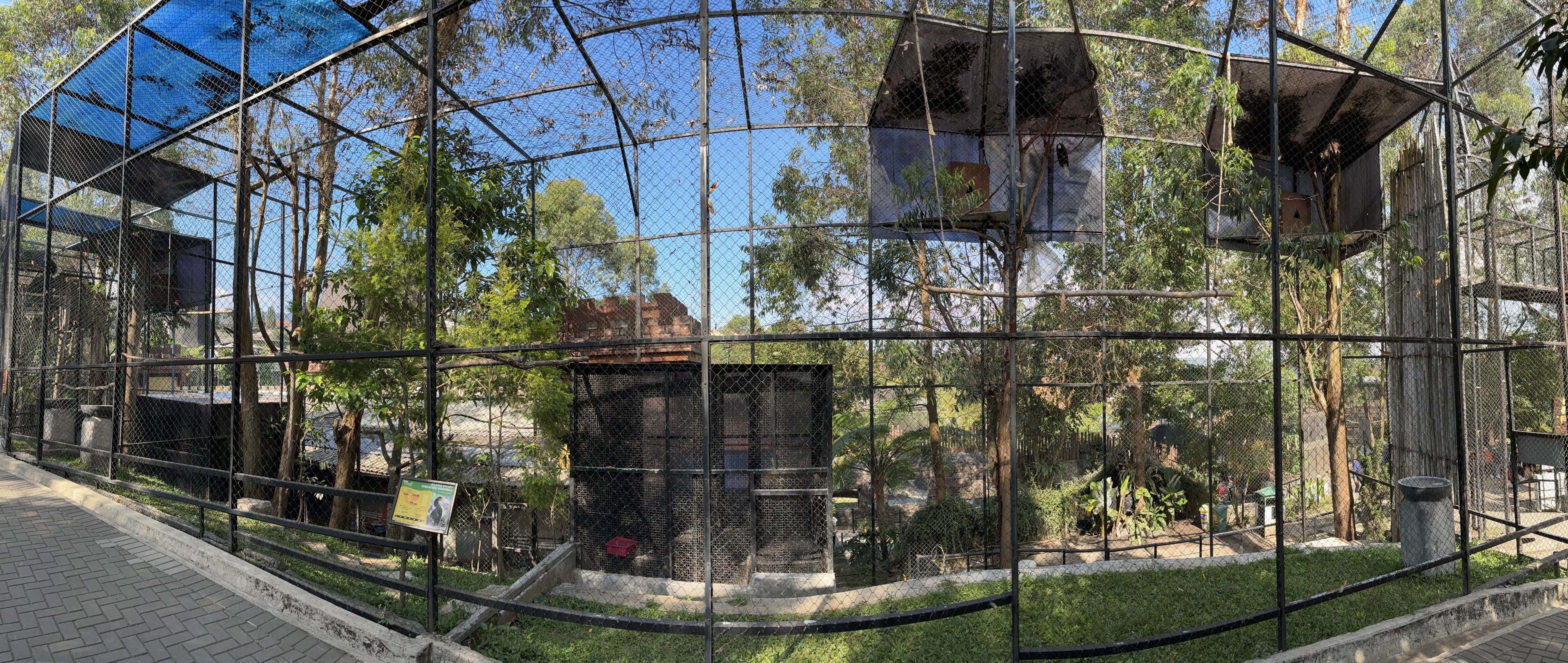 Assorted Hornbill Aviaries (6 species)