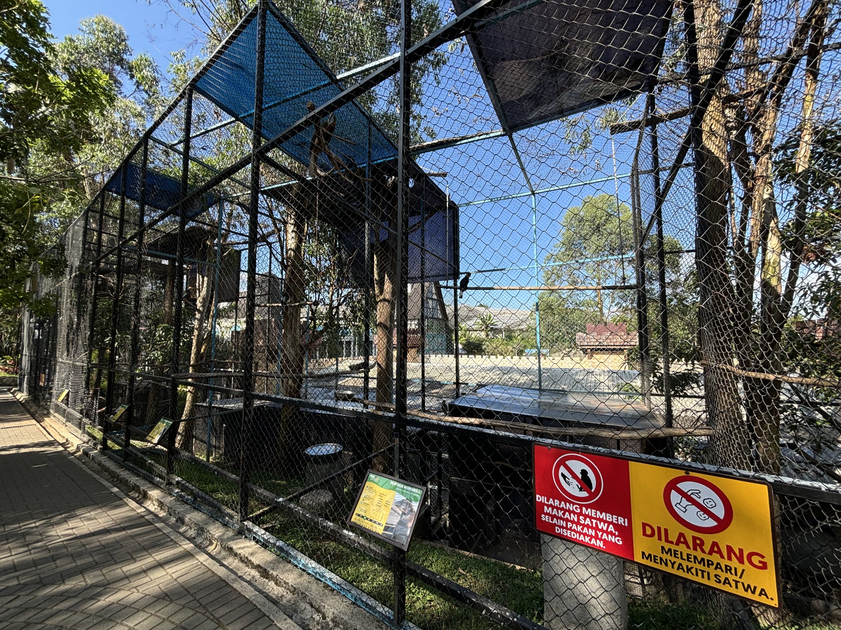 Assorted Hornbill Aviaries (6 species)