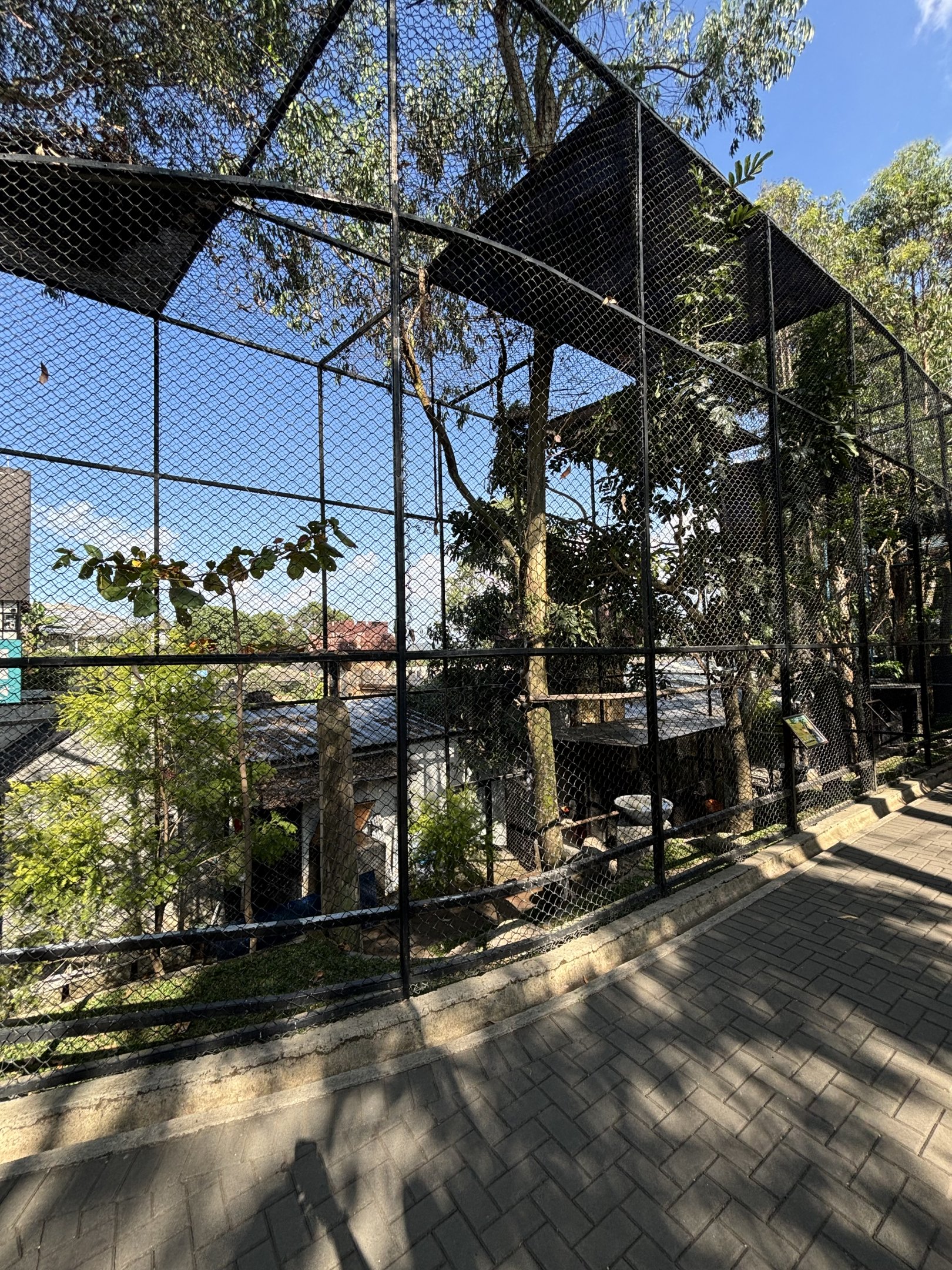 Assorted Hornbill Aviaries (6 species)
