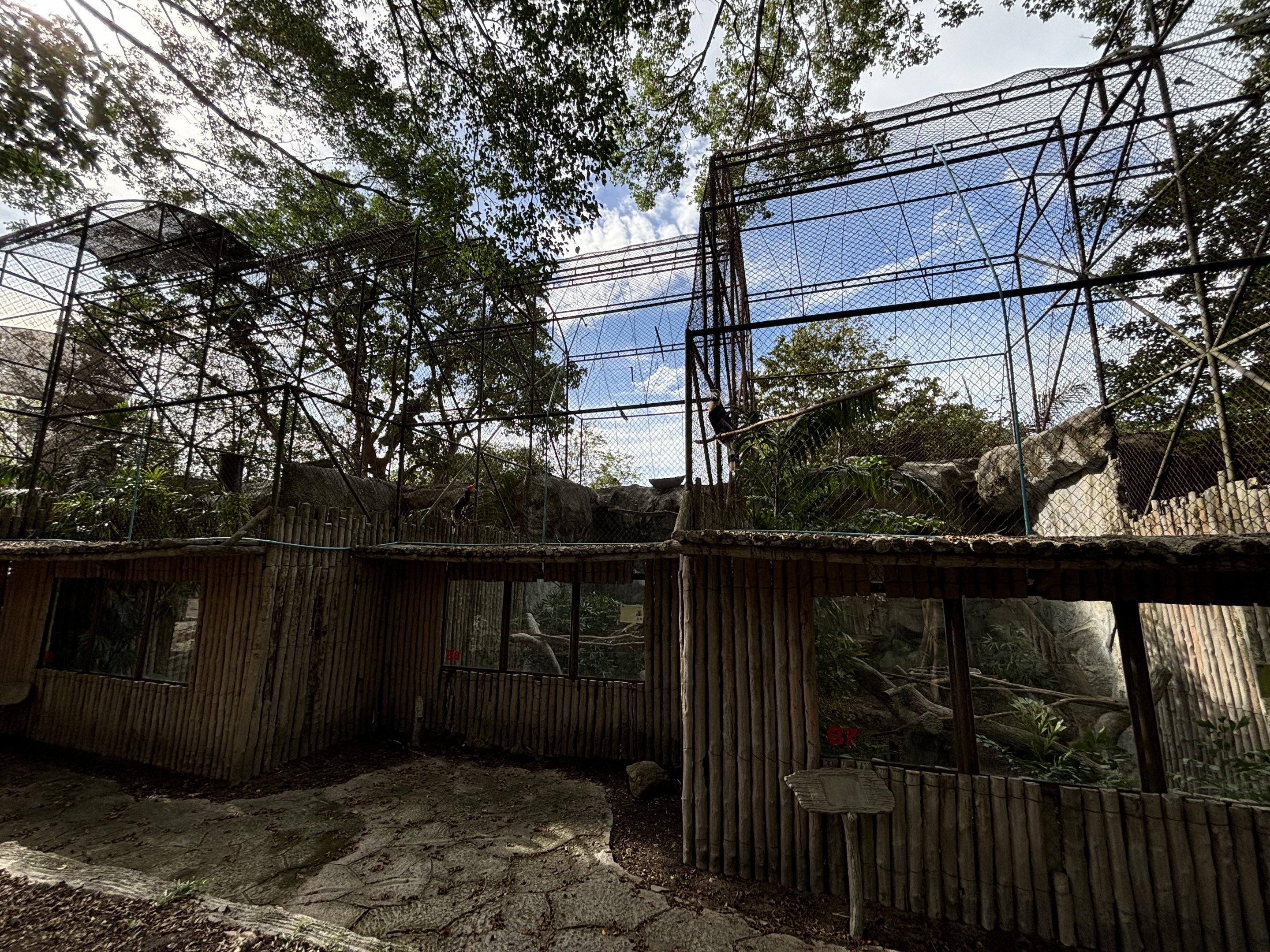 Assorted Hornbill Aviaries