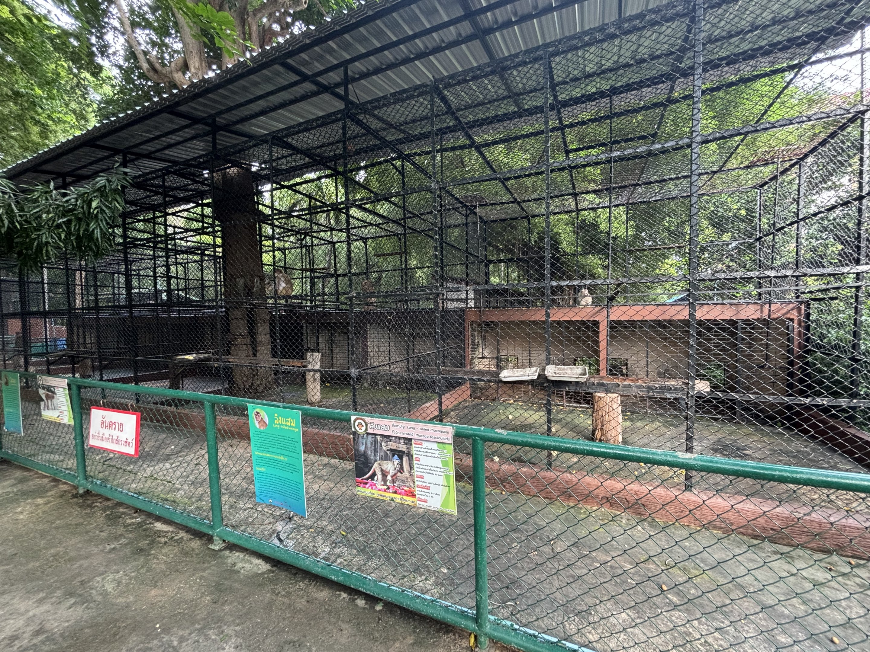 Assorted Macaque Exhibits - Lopburi Zoo