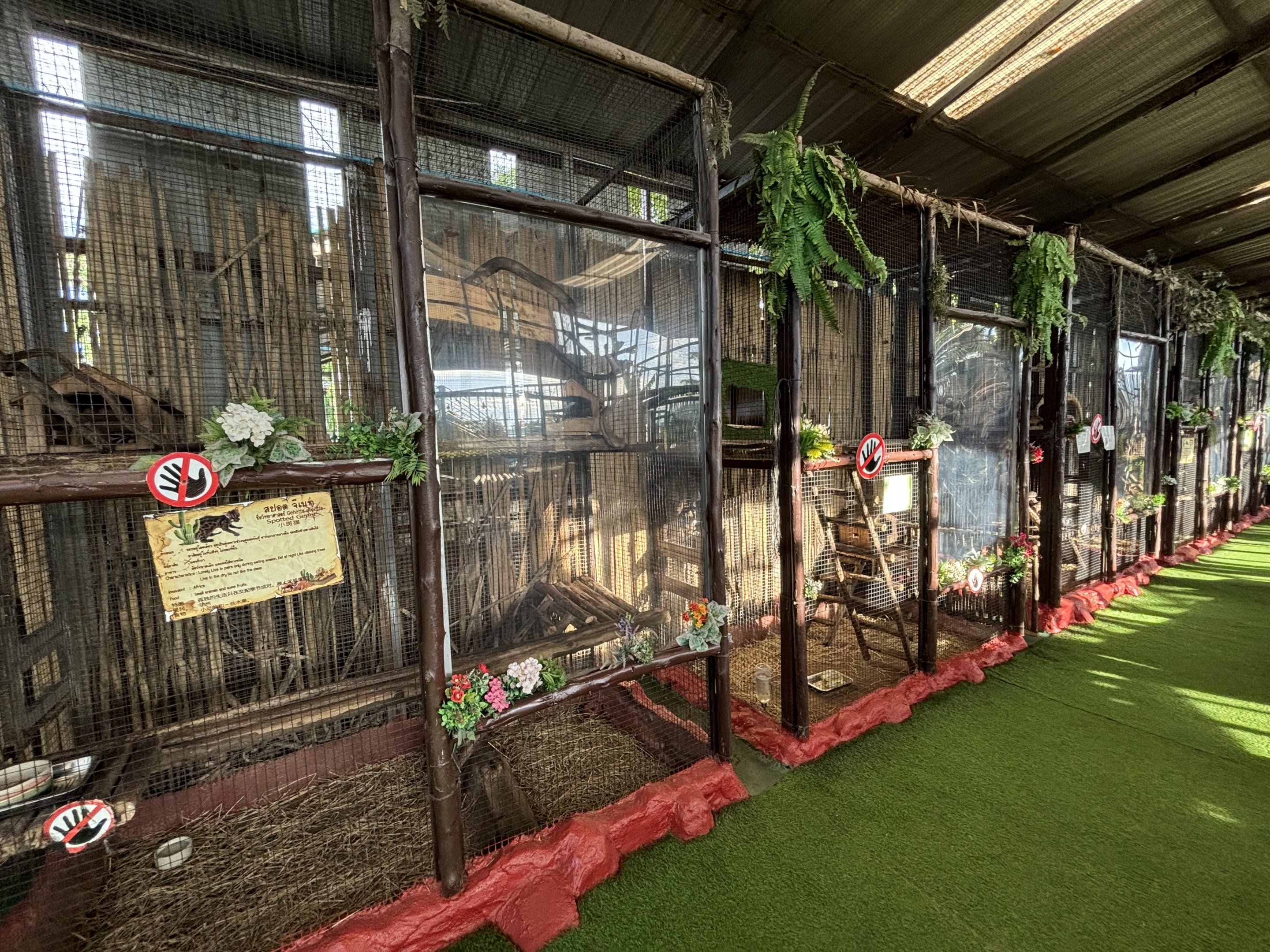 Assorted Menagerie Cages