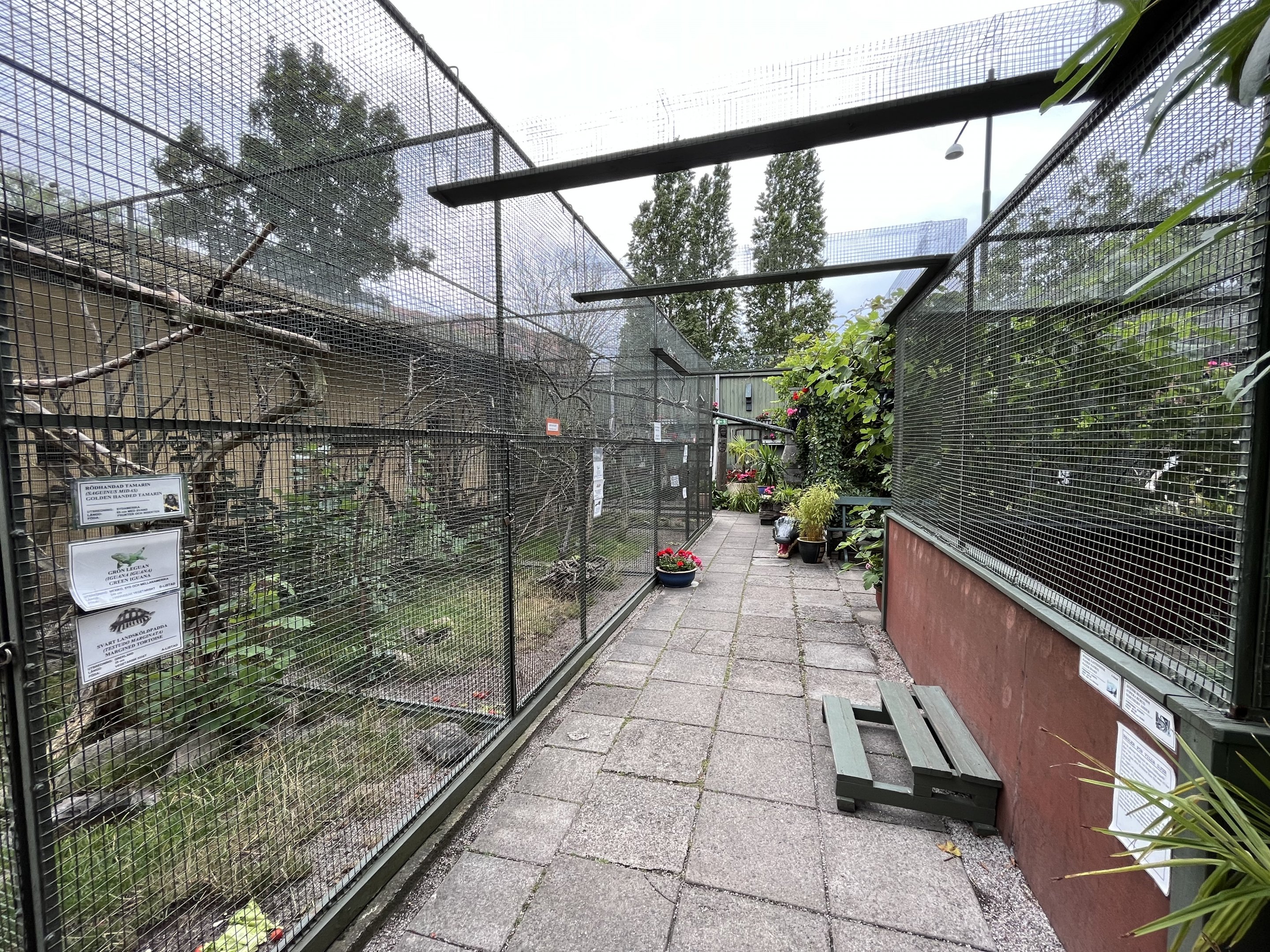 Assorted Outdoor Exhibits