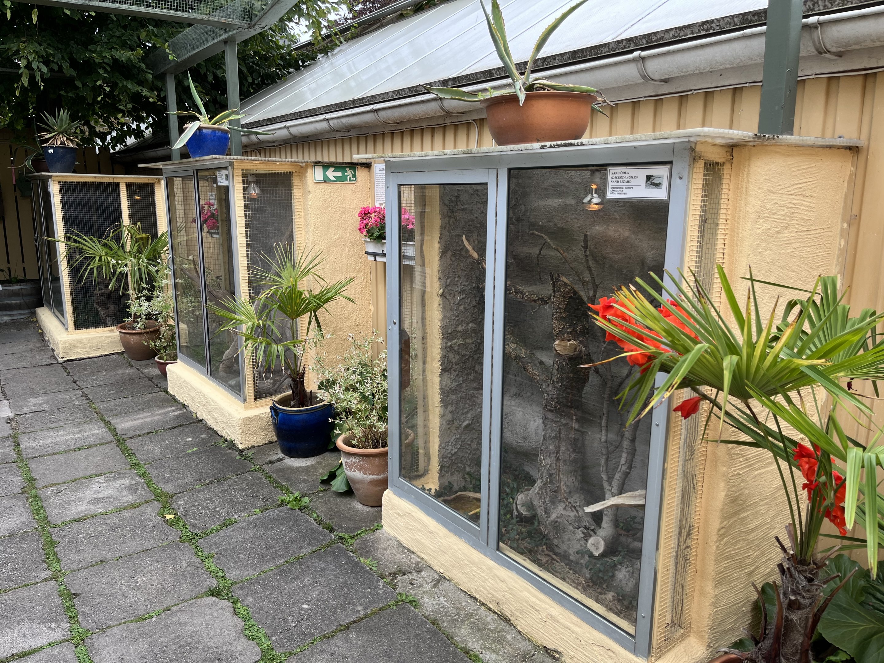 Assorted Outdoor Terrariums