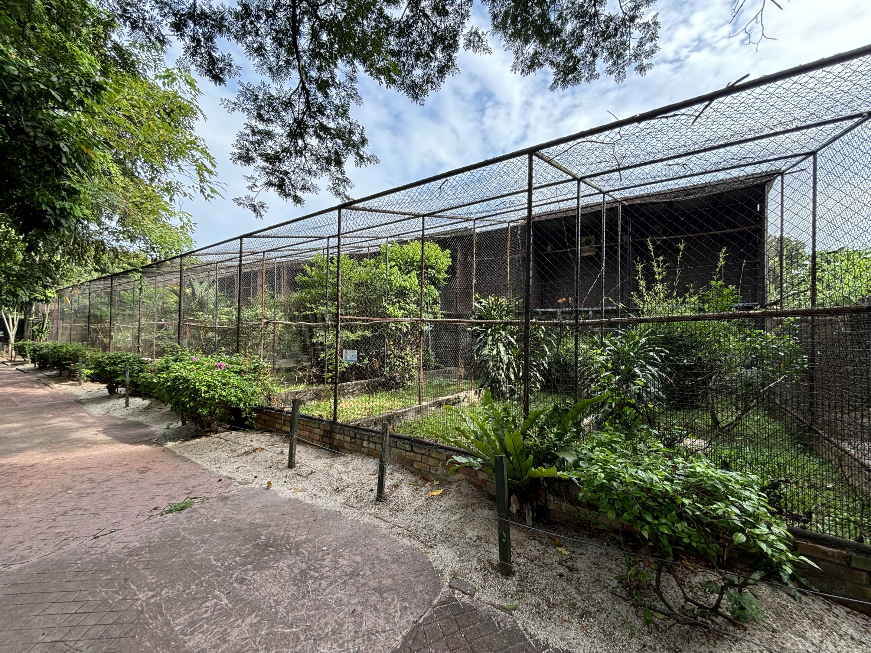 Assorted Owl Aviaries #1