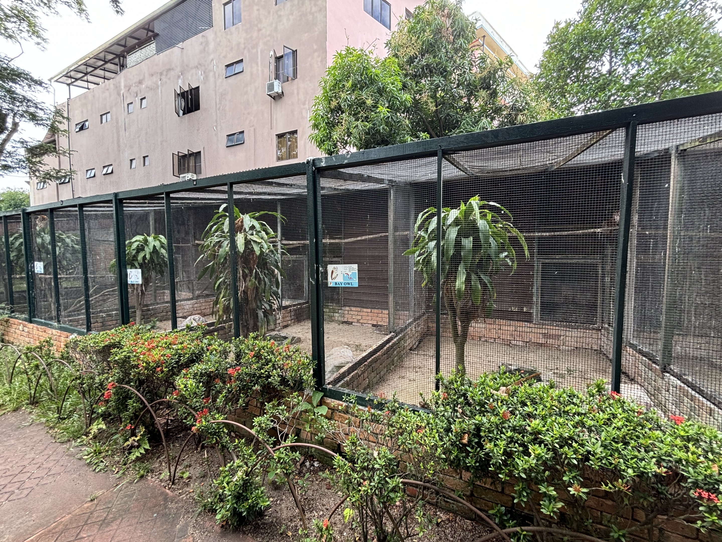 Assorted Owl Aviaries #2