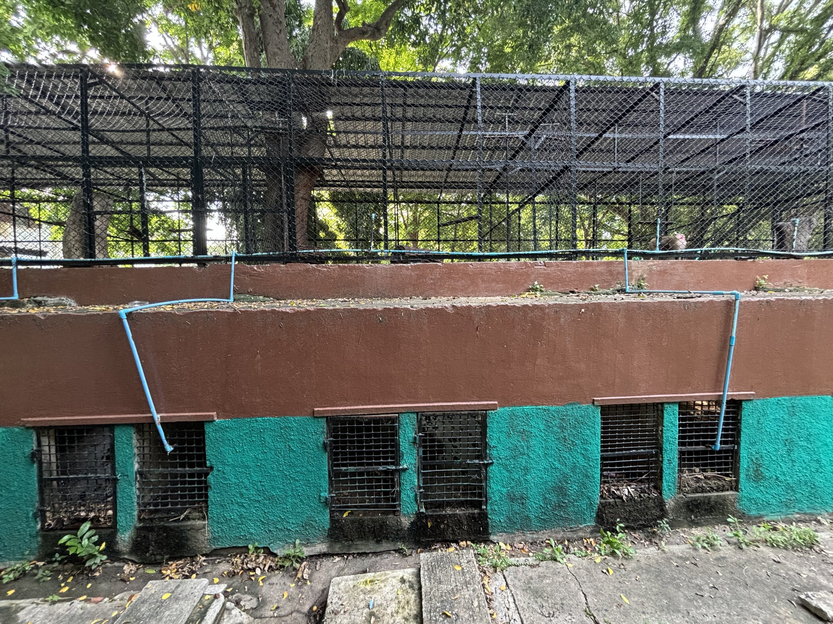 Assorted Primate Exhibits (rear view) - Lopburi Zoo
