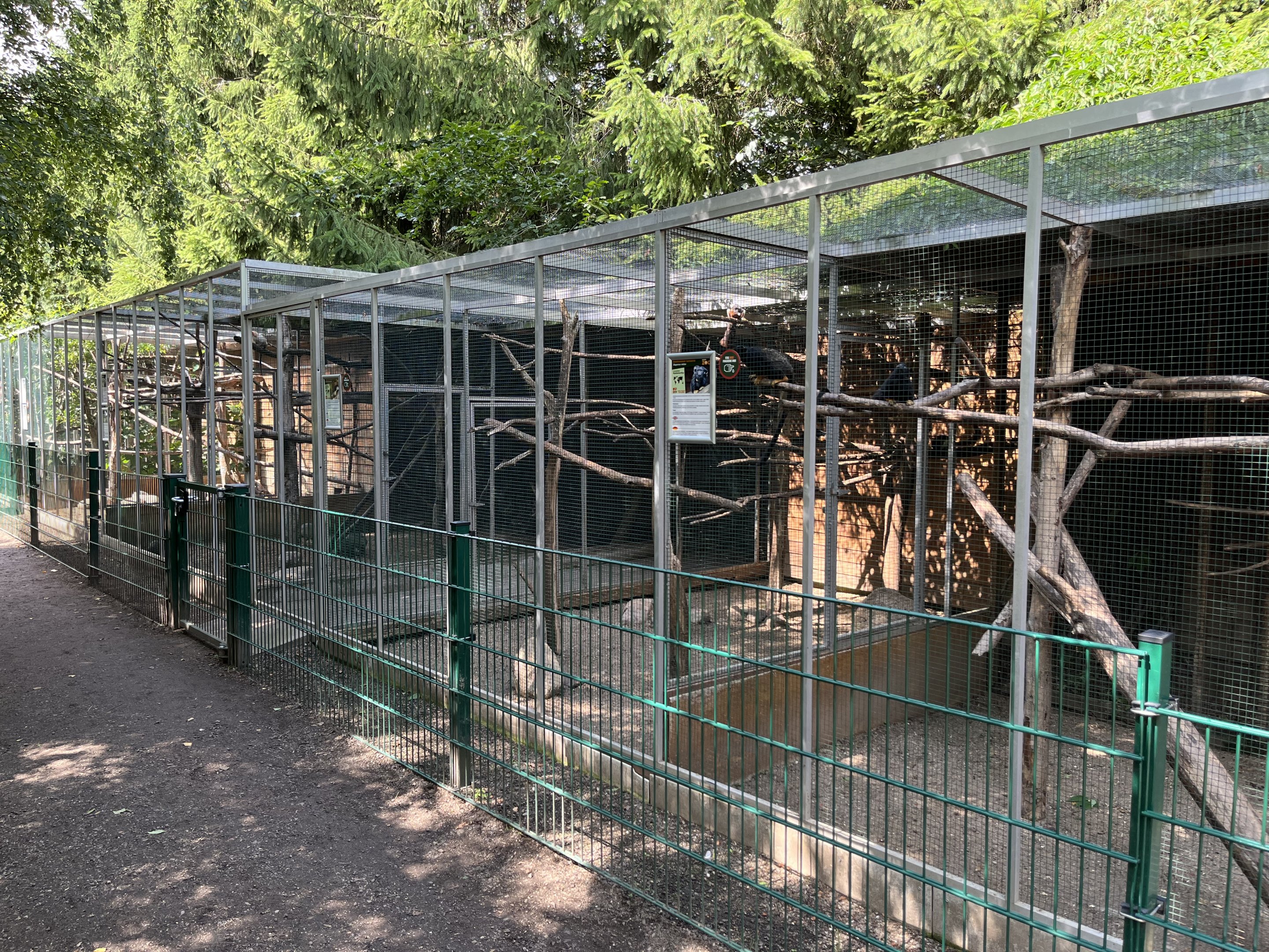 Assorted Primate Exhibits