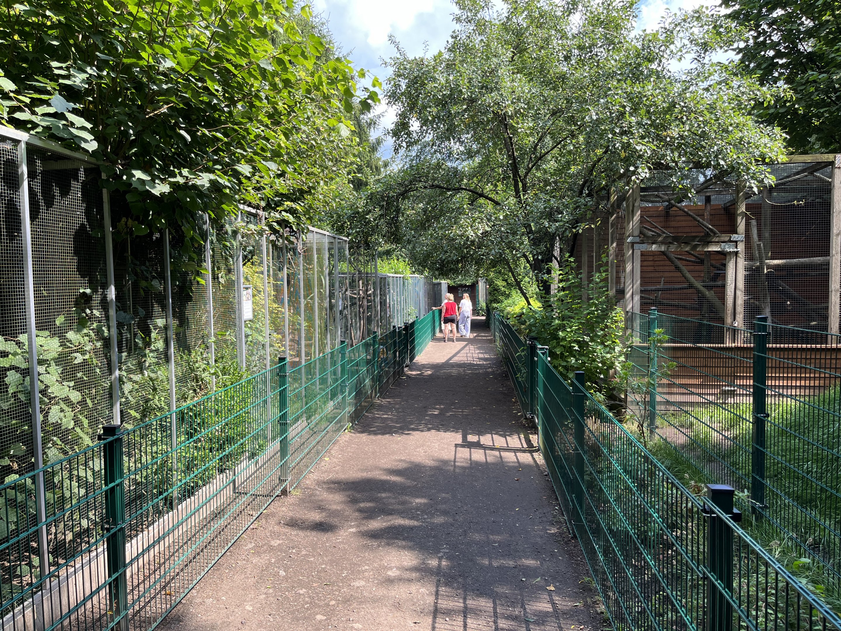 Assorted Primate Exhibits