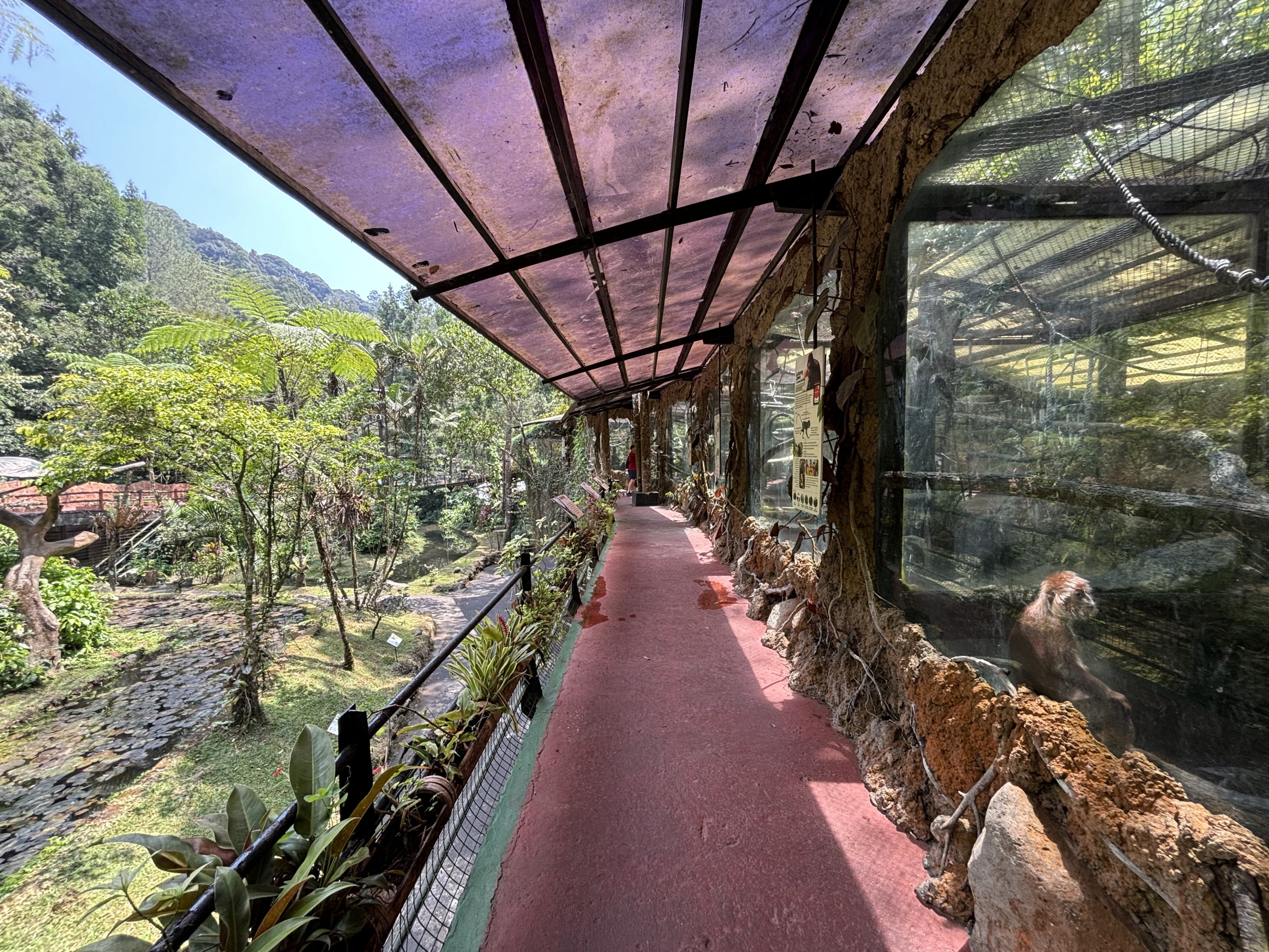 Assorted Primate Exhibits