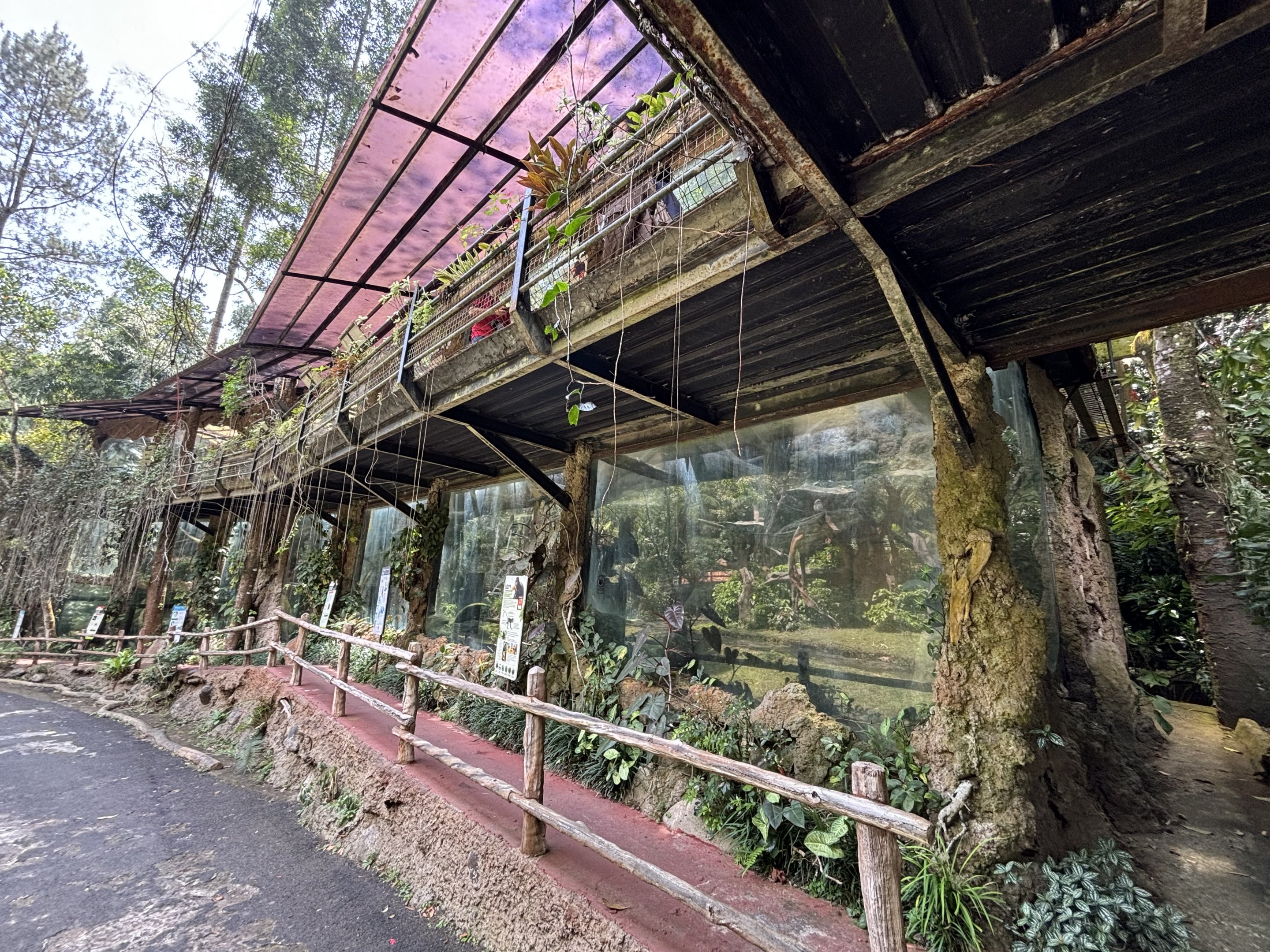 Assorted Primate Exhibits