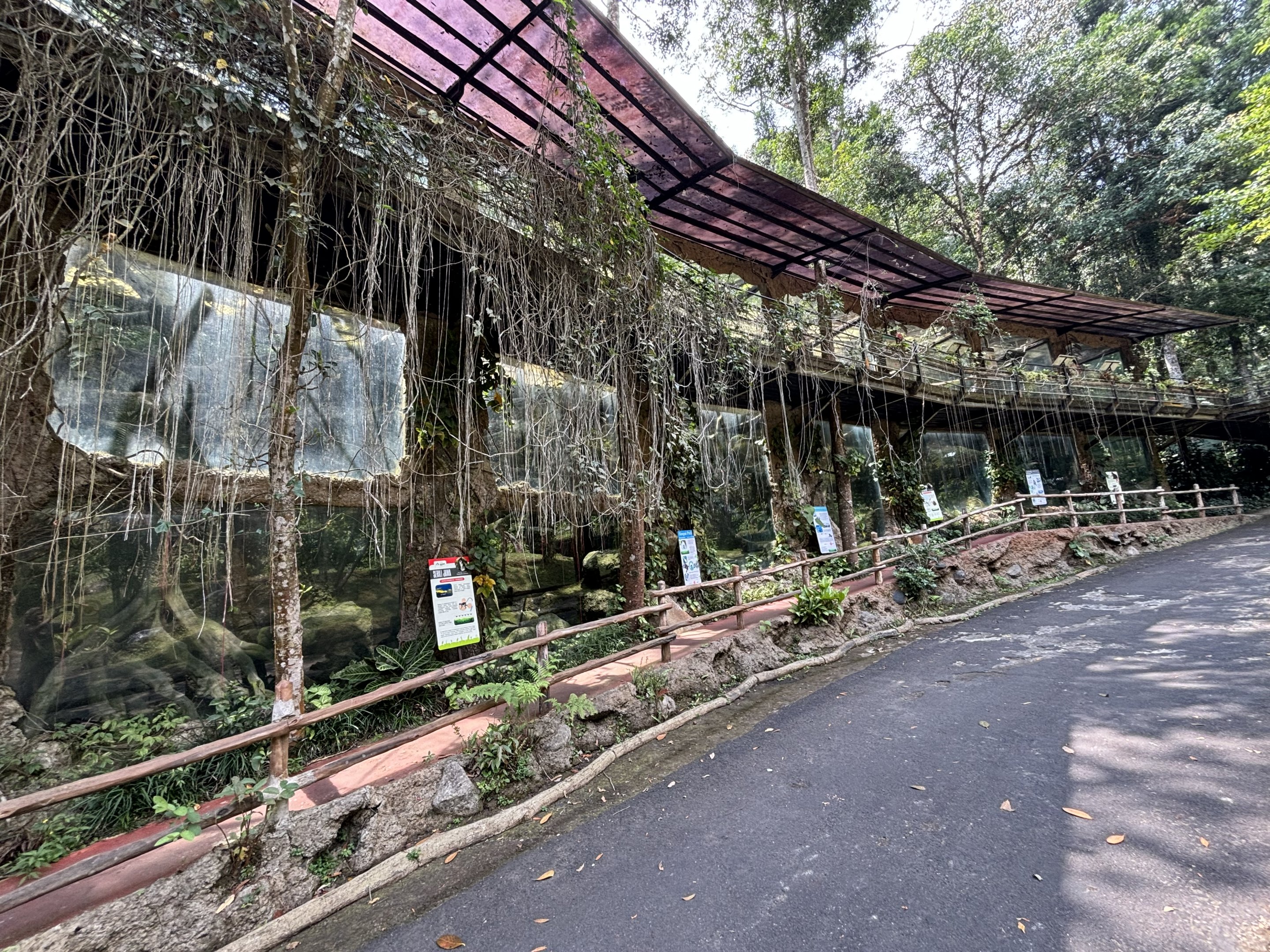 Assorted Primate Exhibits