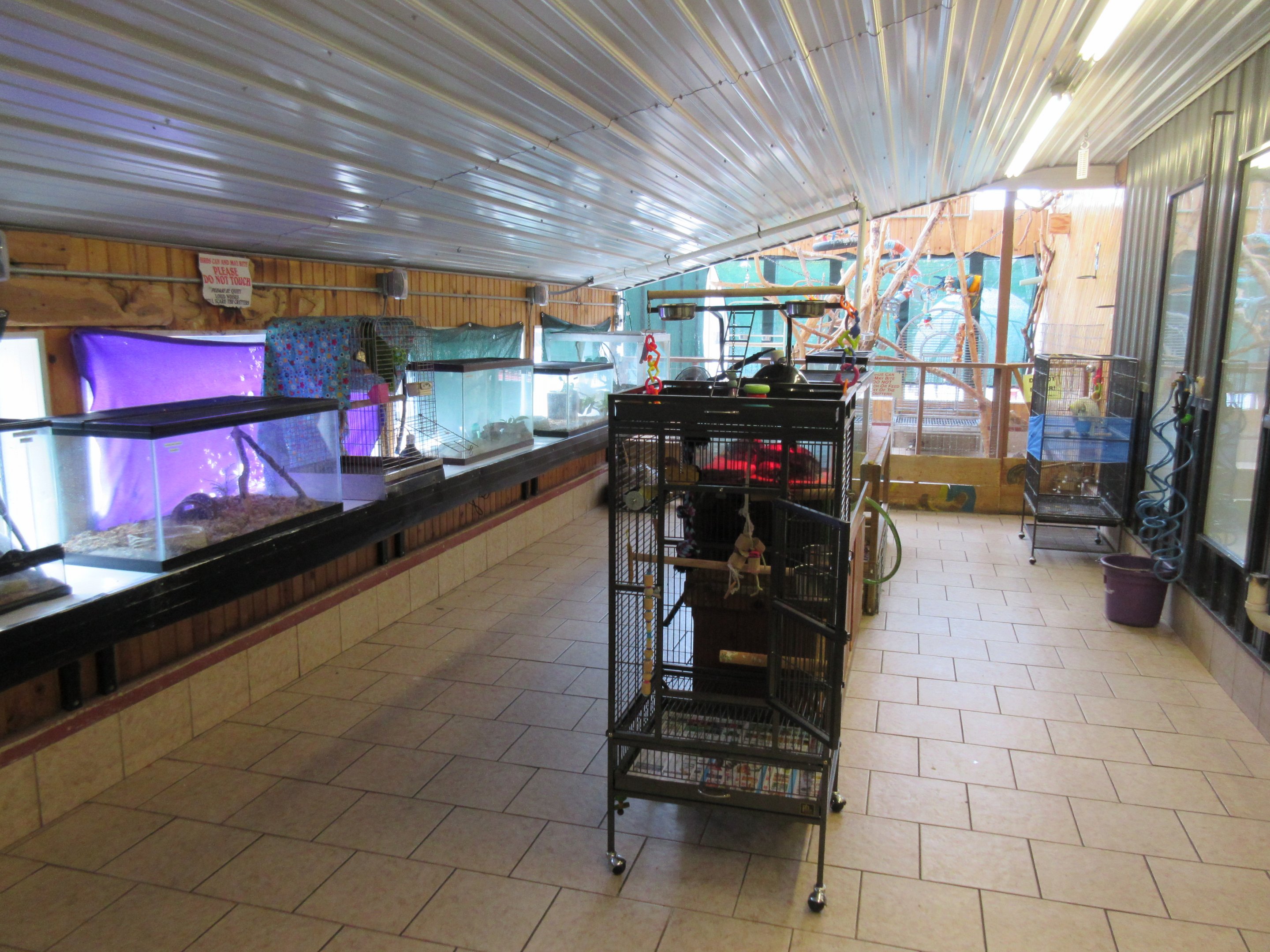 Assorted Reptile + Bird Exhibits