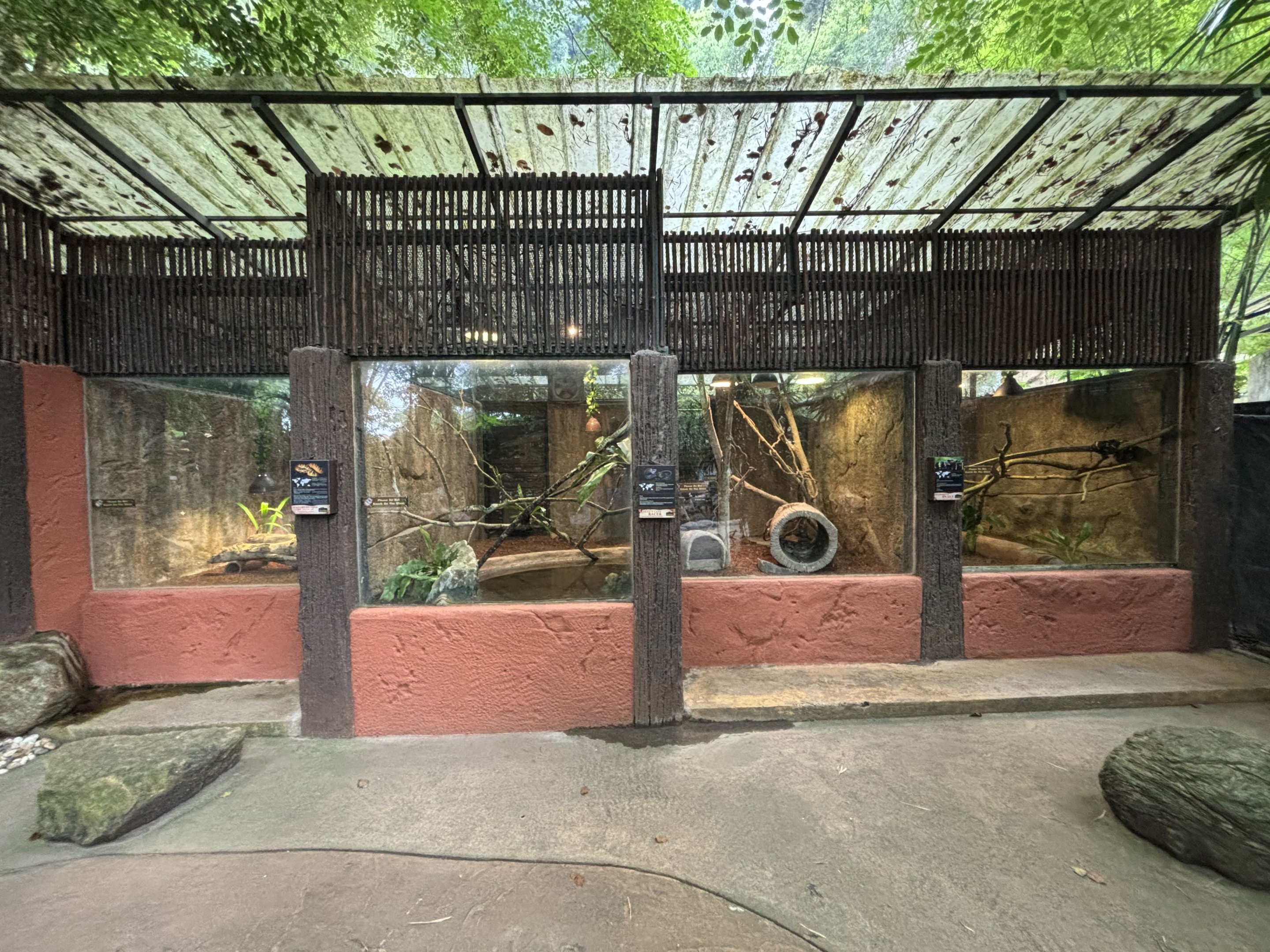 Assorted Reptile Exhibits - Lost World of Tambun