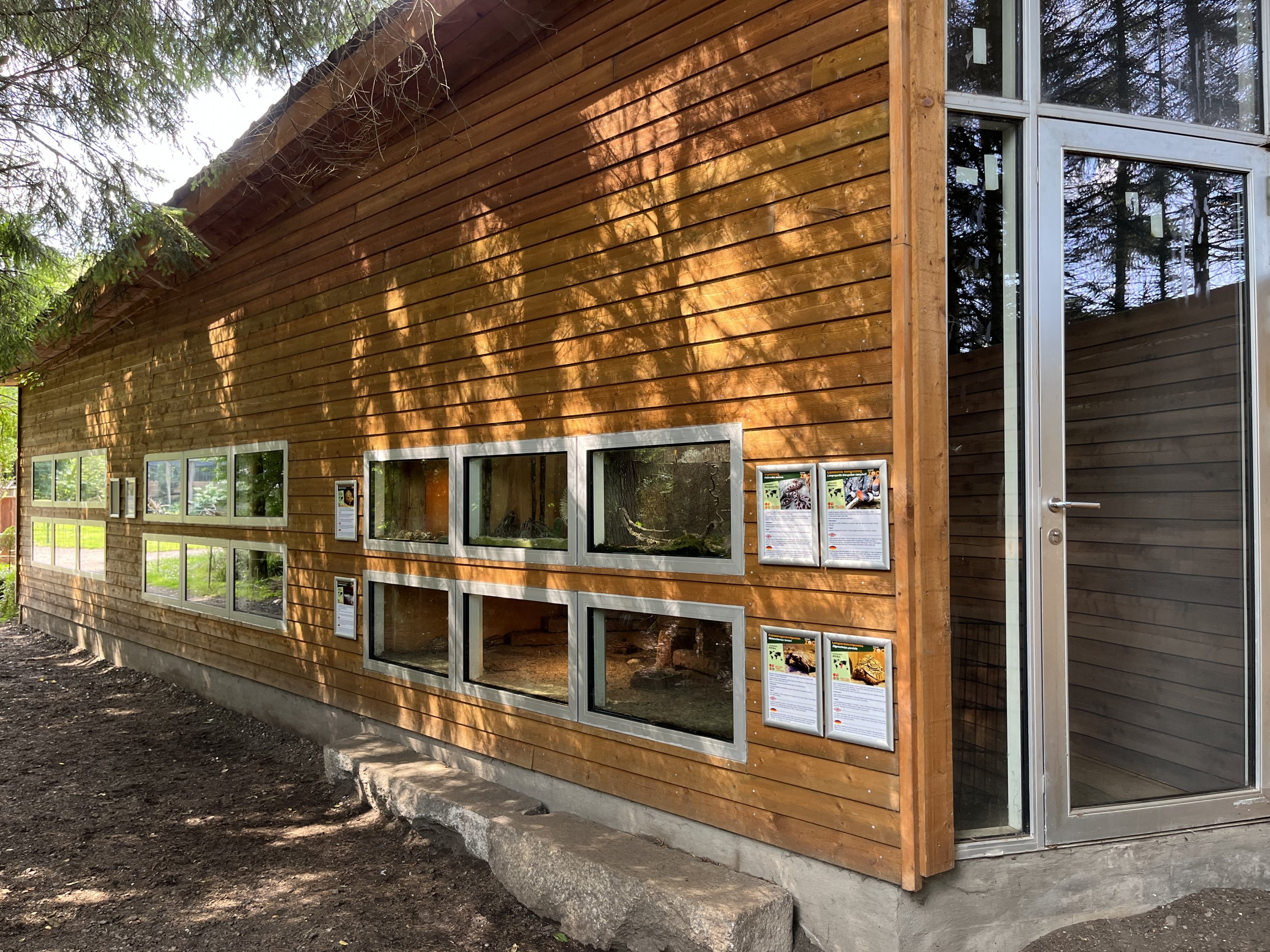 Assorted Reptile Exhibits