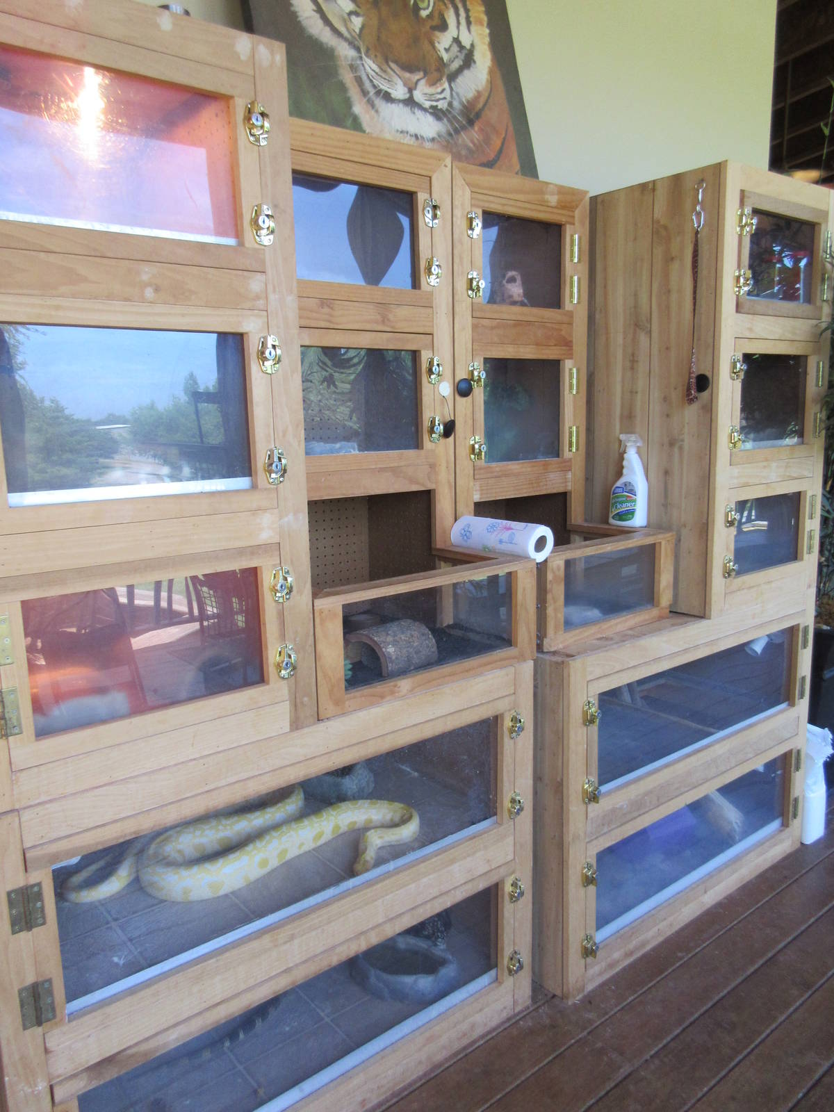 Assorted Reptile Terrariums