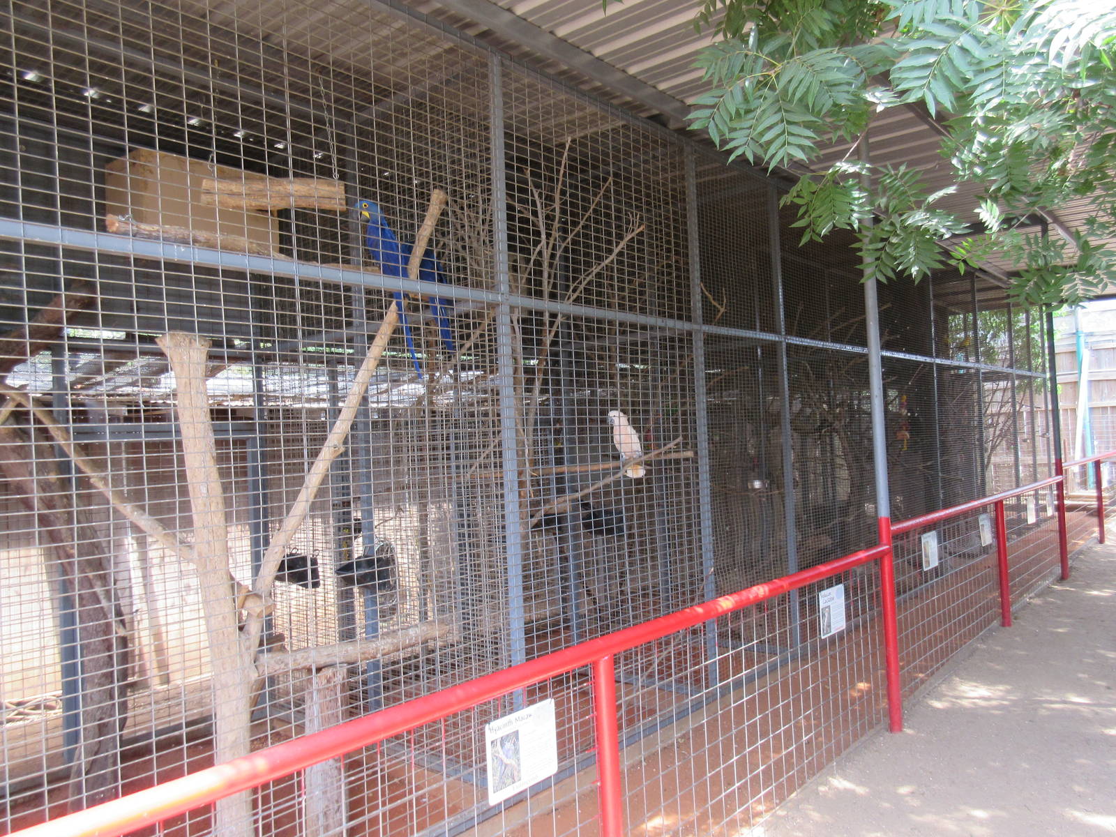 Assorted Small Animal Exhibits