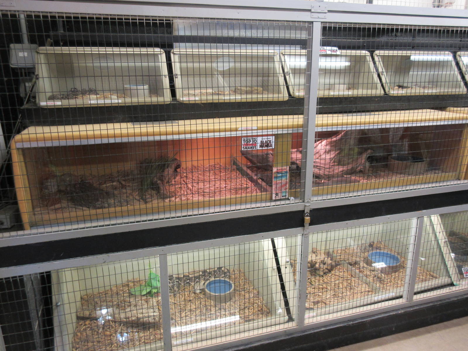 Assorted Snake Terrariums