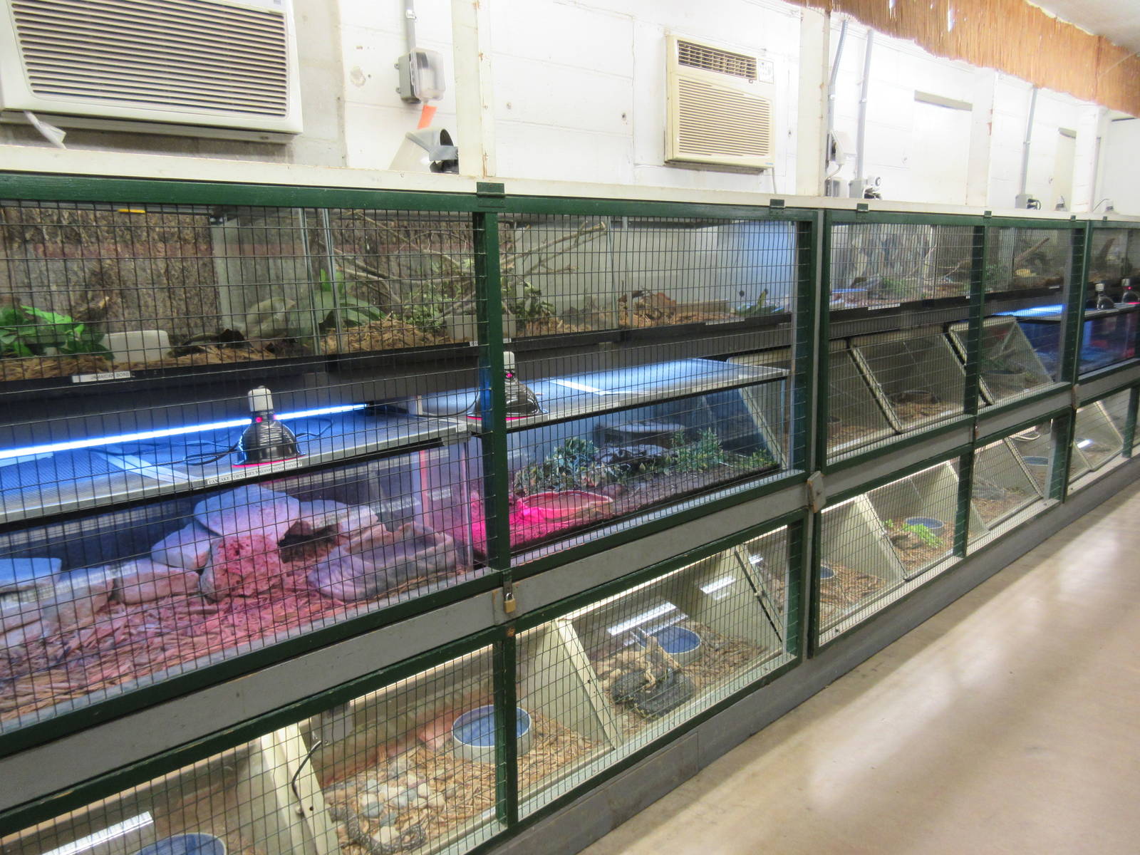 Assorted Snake Terrariums