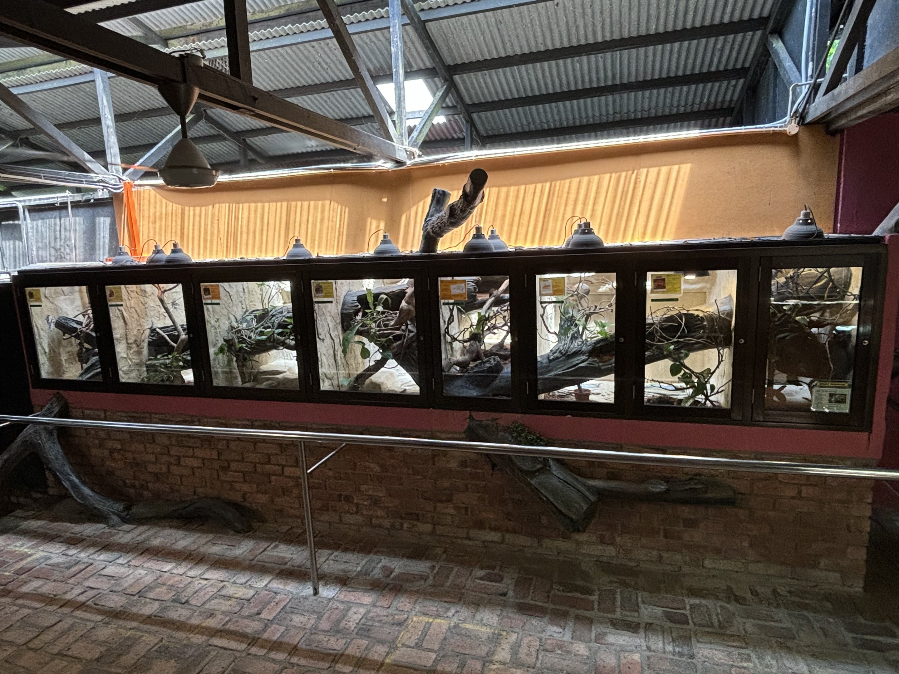 Assorted Snake Terrariums