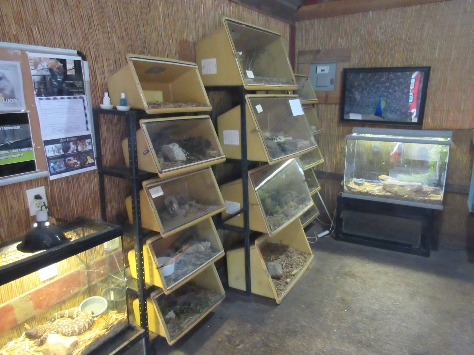 Assorted Terrariums - in entrance building