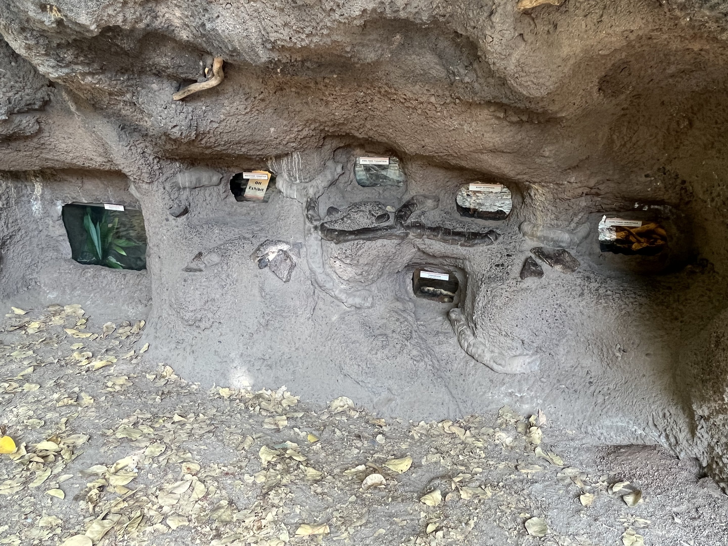 Assorted Terrariums in Mudbank