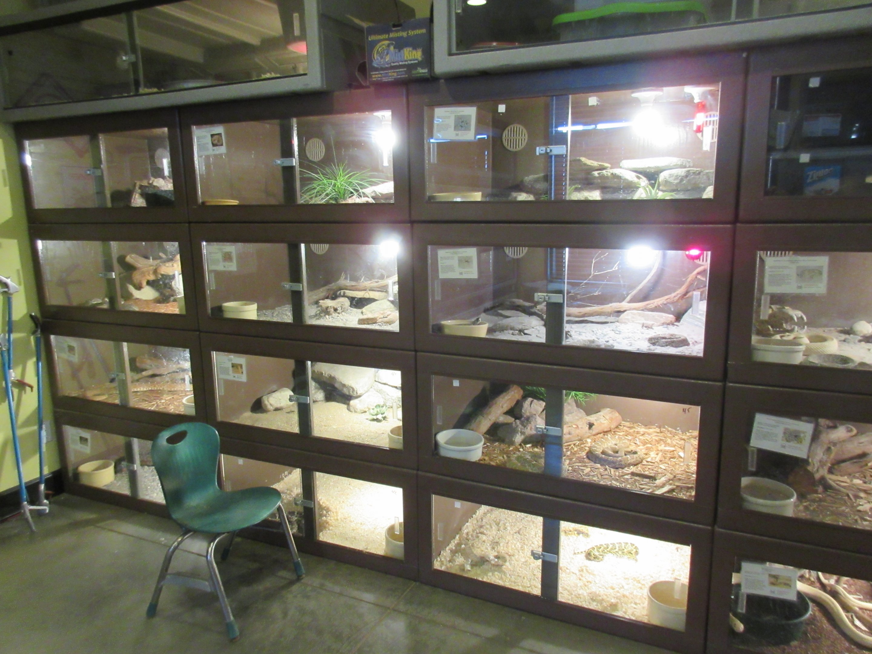 Assorted Terrariums - sorry for glare