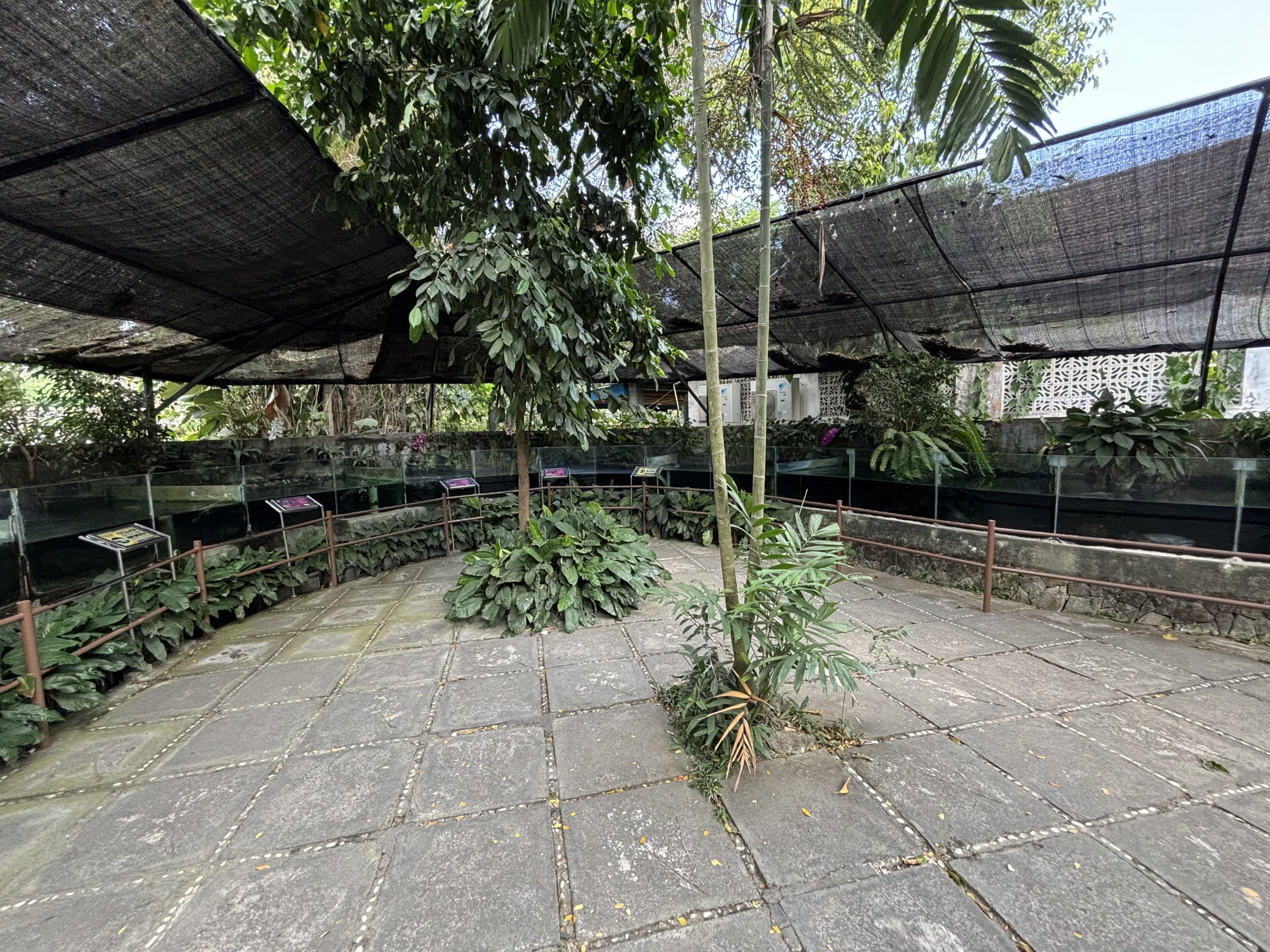 Assorted Turtle Exhibits - impressive!