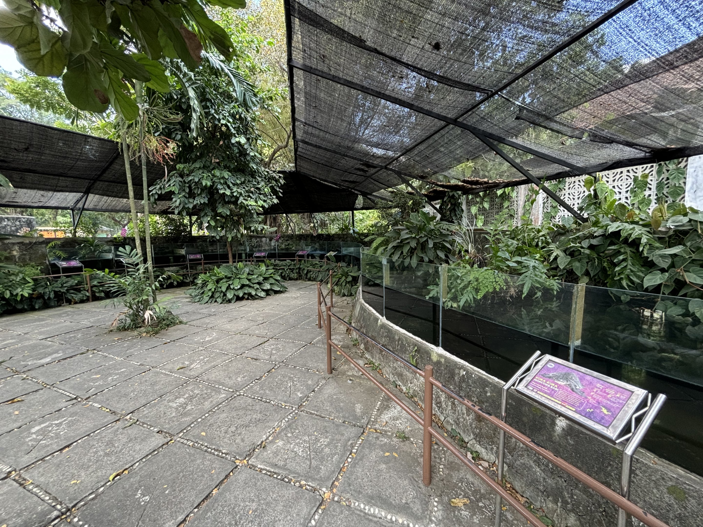 Assorted Turtle Exhibits