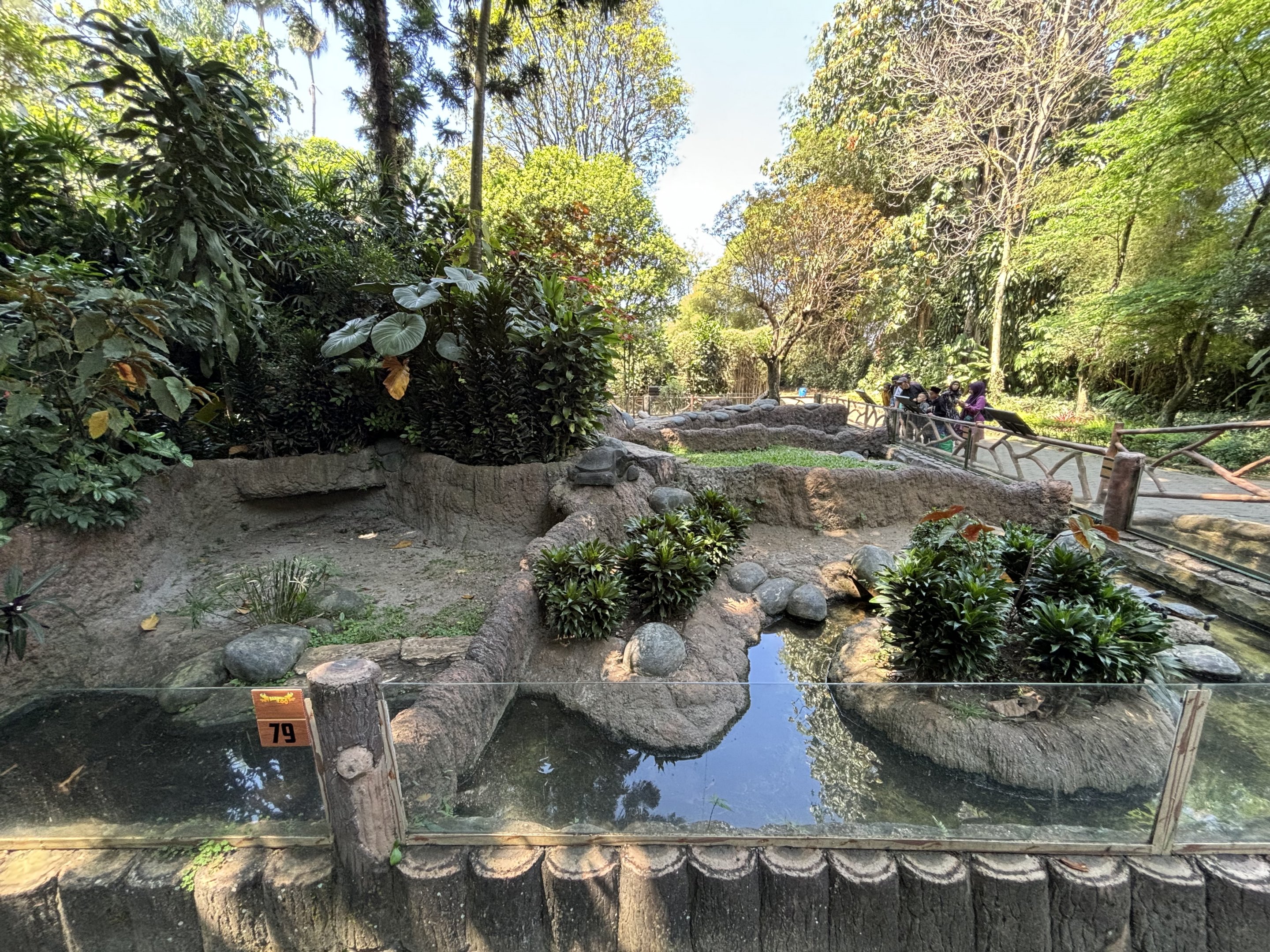 Assorted Turtle Exhibits