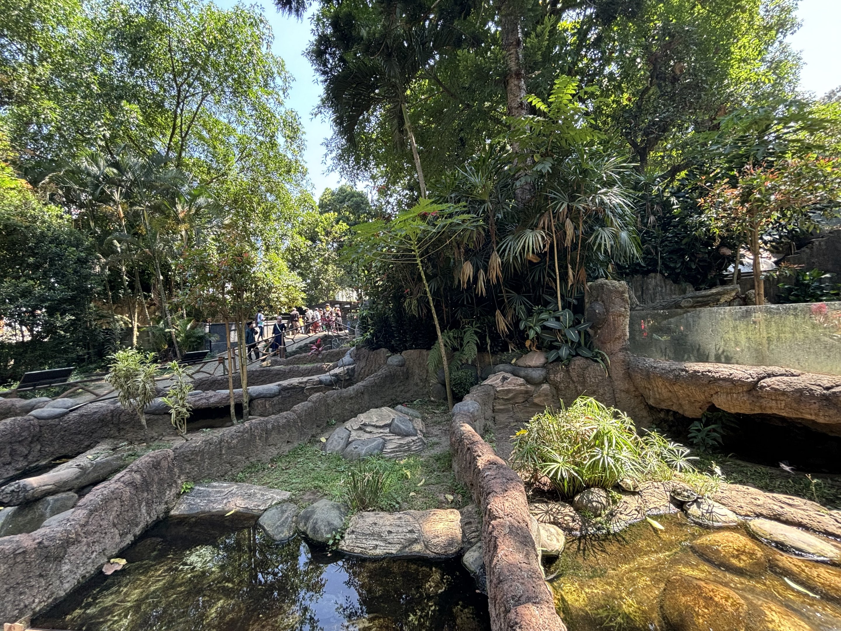 Assorted Turtle Exhibits