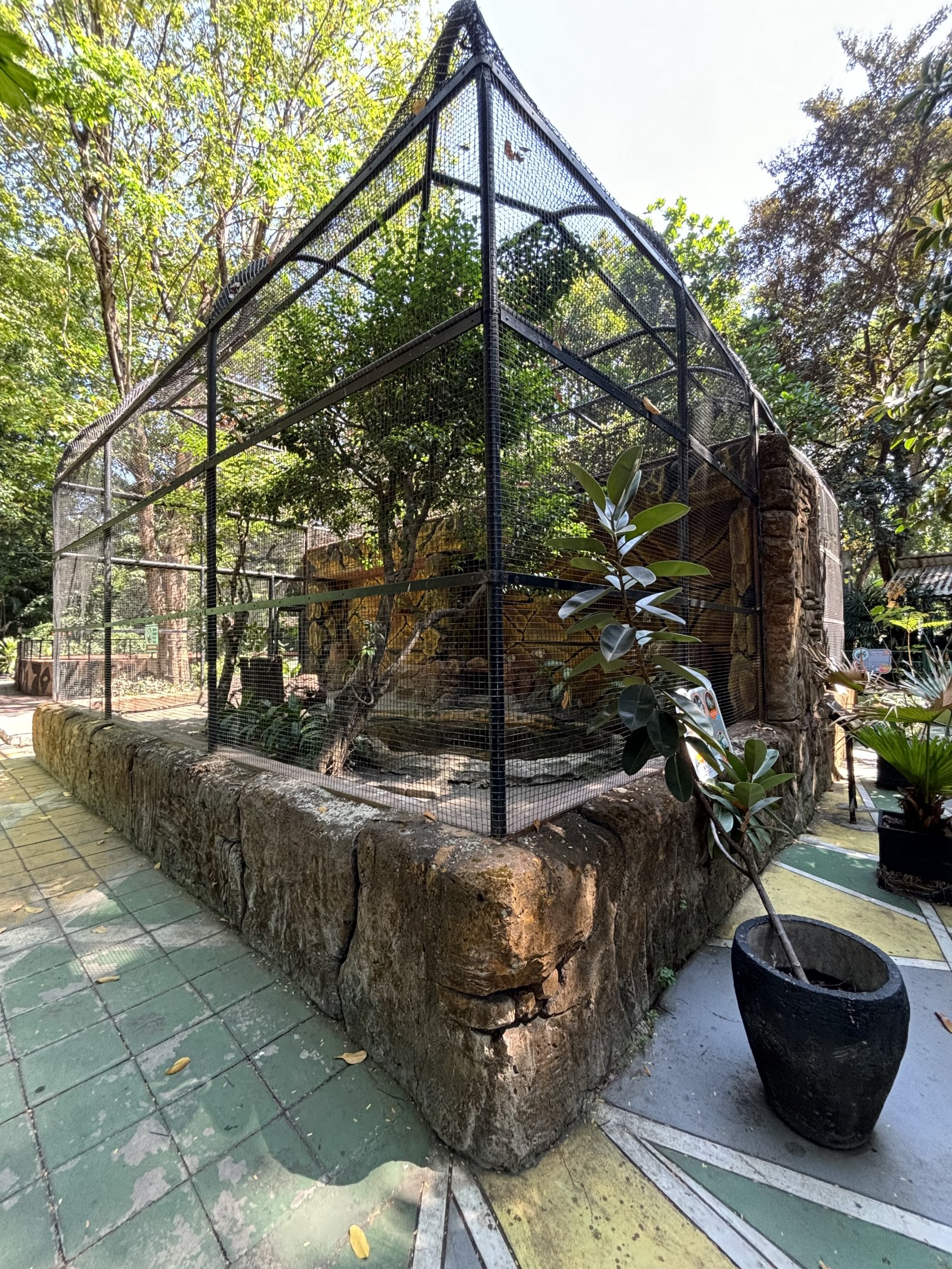 Assorted Turtles Exhibit