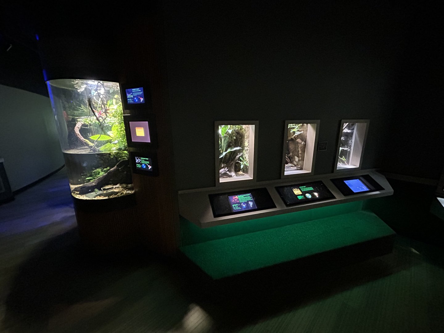 Assorted Vivaria - Unseen New World