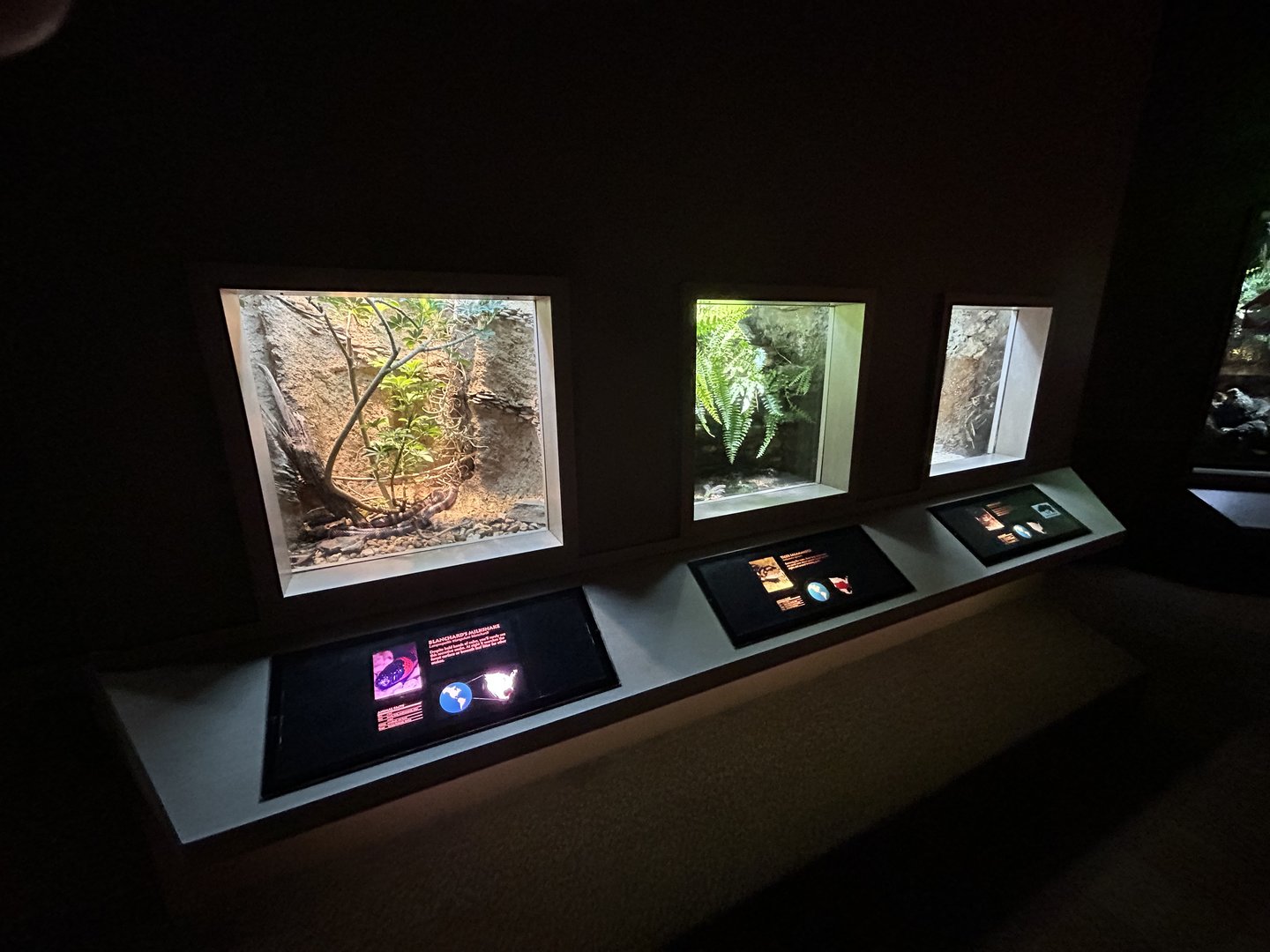 Assorted Vivaria - Unseen New World