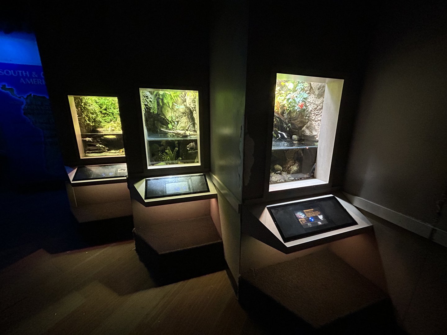 Assorted Vivaria - Unseen New World