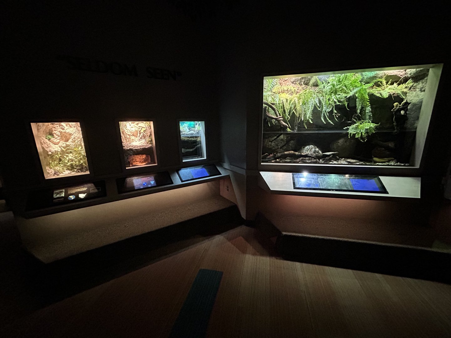 Assorted Vivaria - Unseen New World