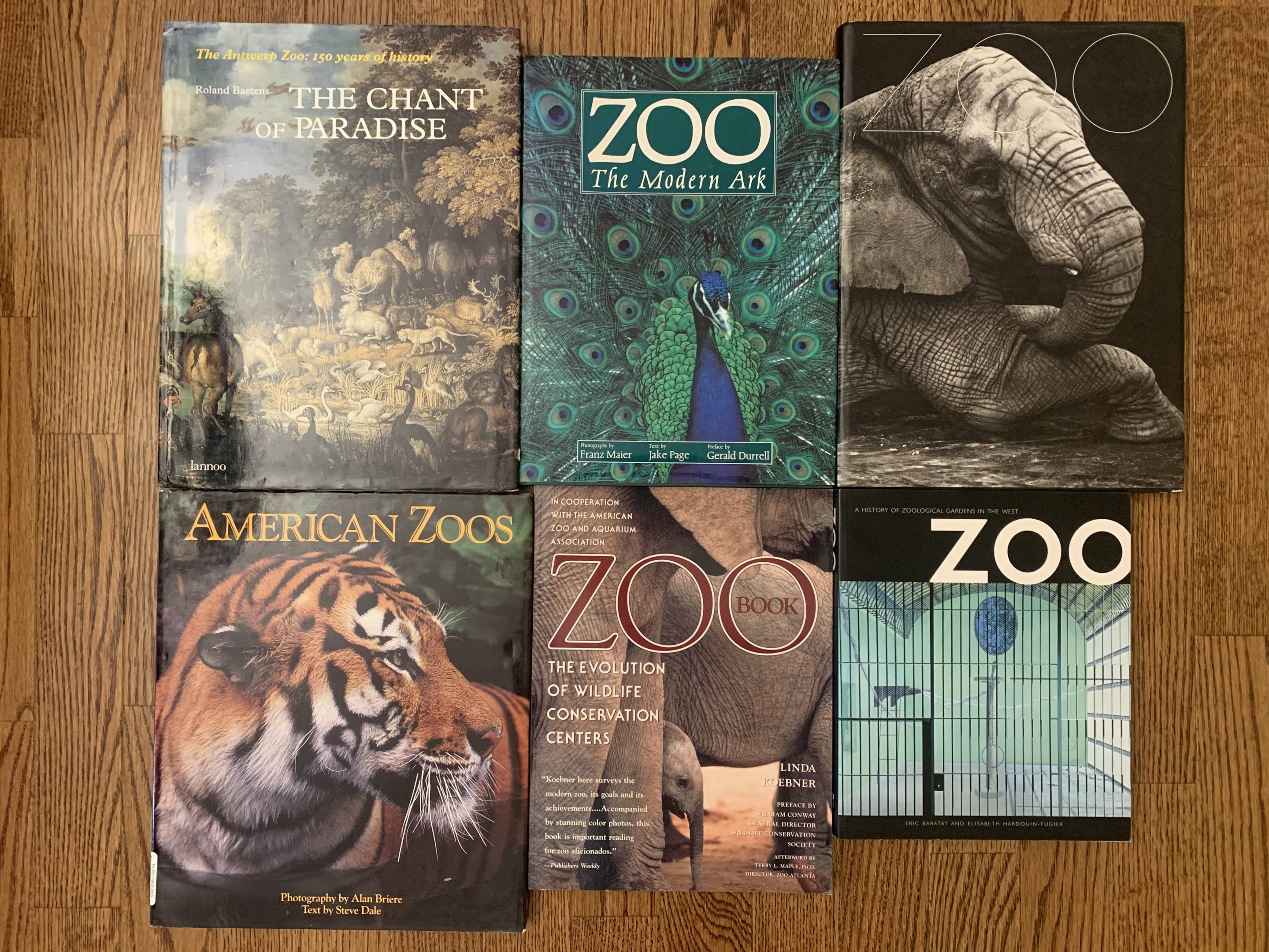 Assorted zoo books