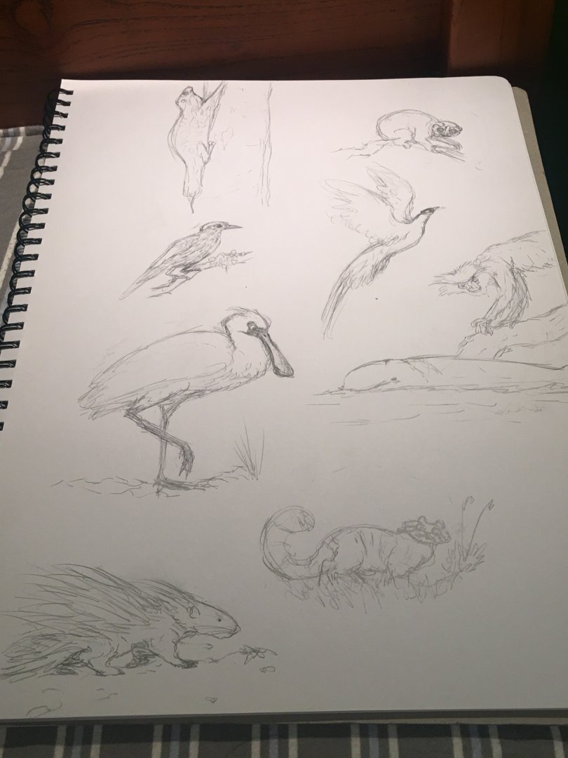 Assortment of Asian animals