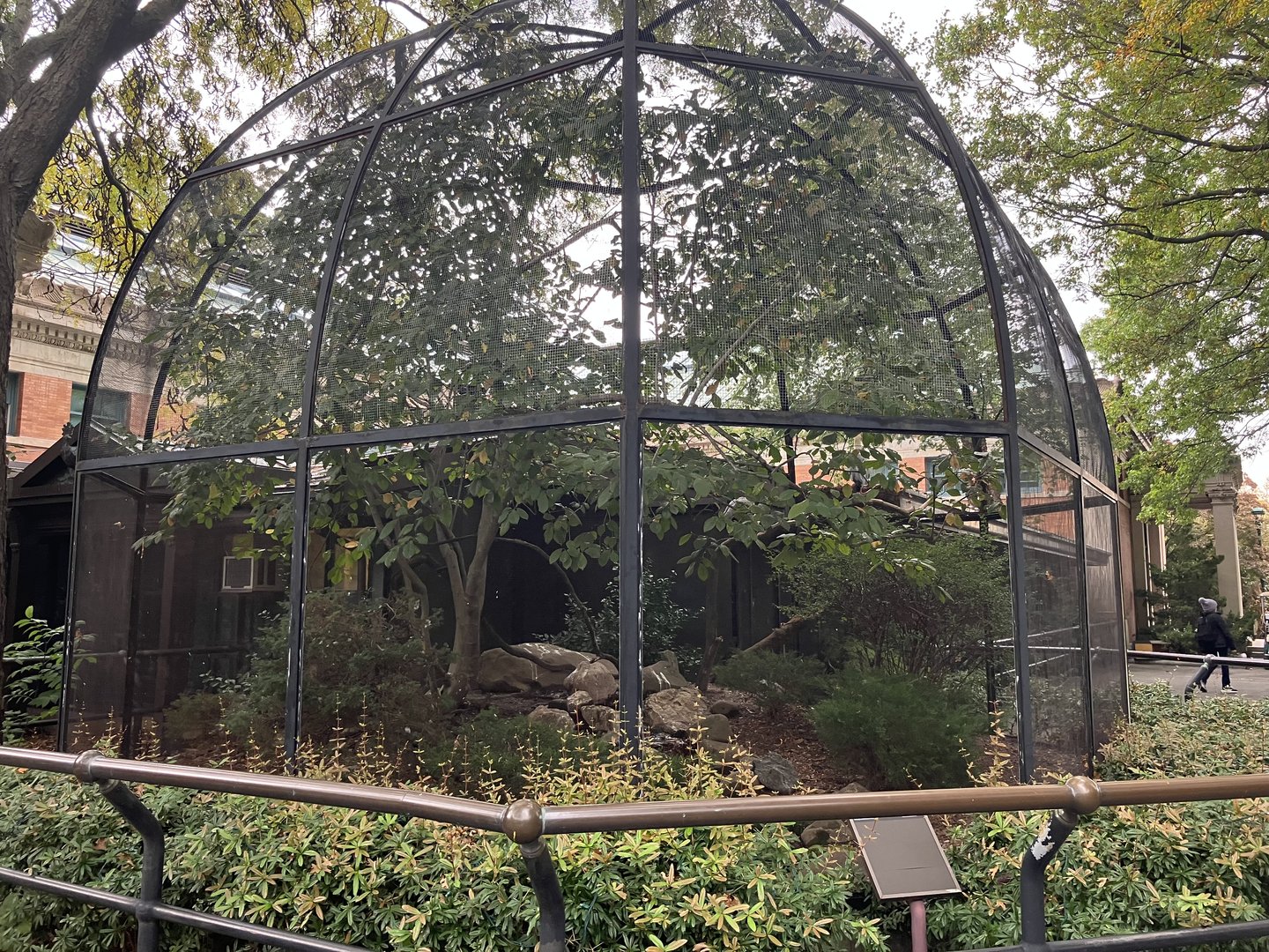 Astor Court - Black-Faced Ibis Exhibit