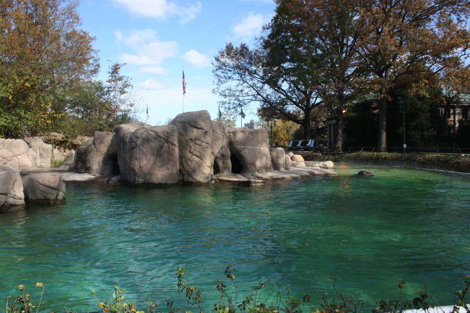 Astor Court- California Sea Lion Pool