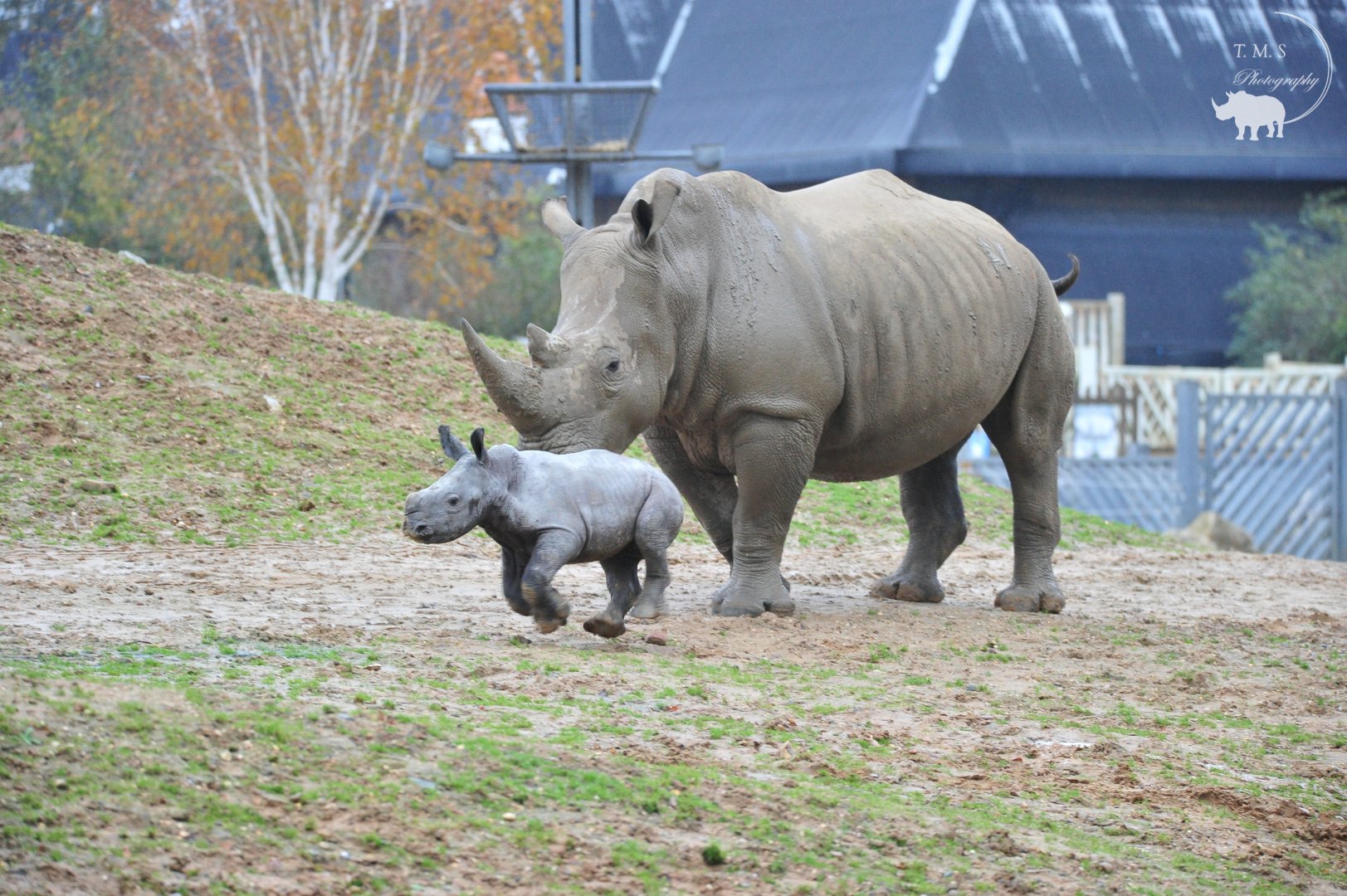 Astrid And her baby Boy exploring