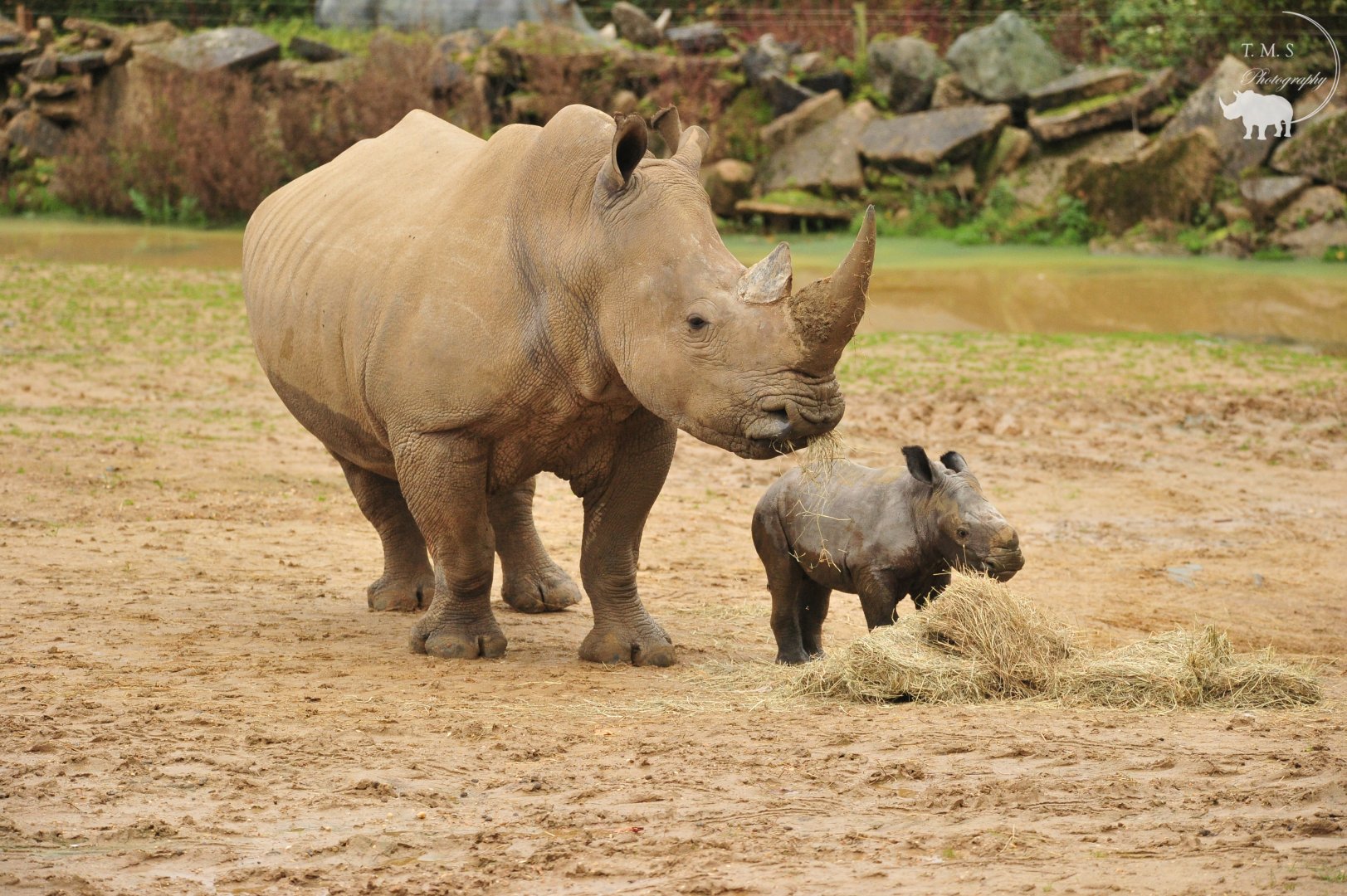 Astrid And her baby Boy