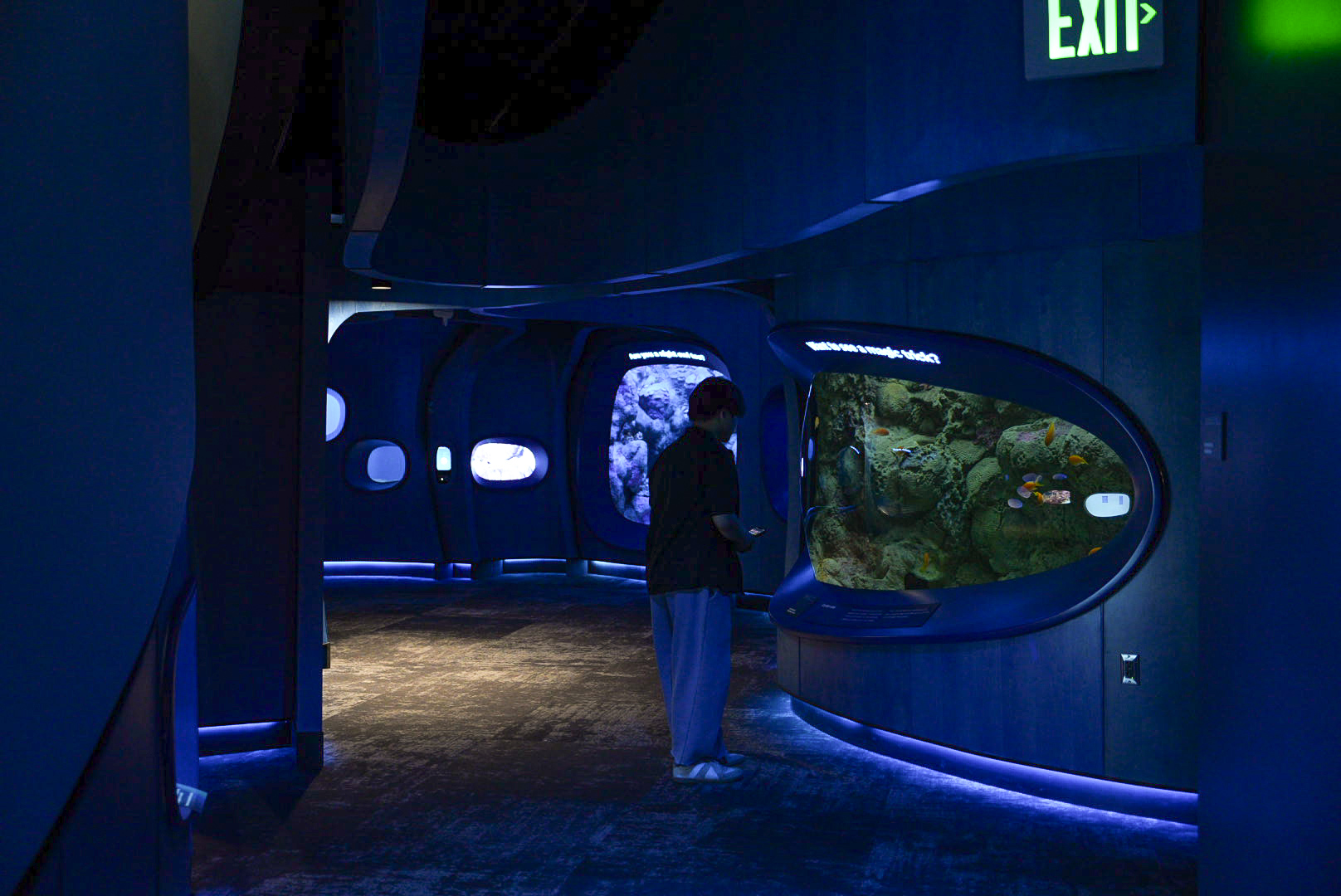 'At home in the Ocean' second half