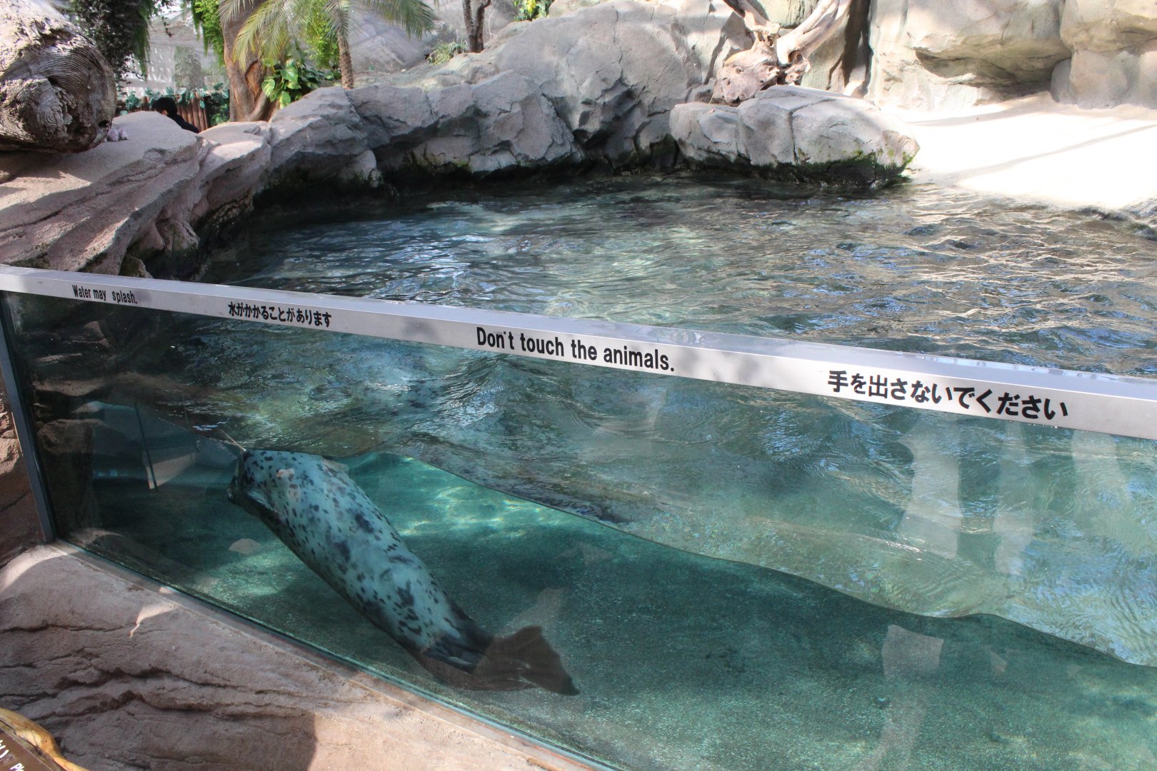 At least better than China......